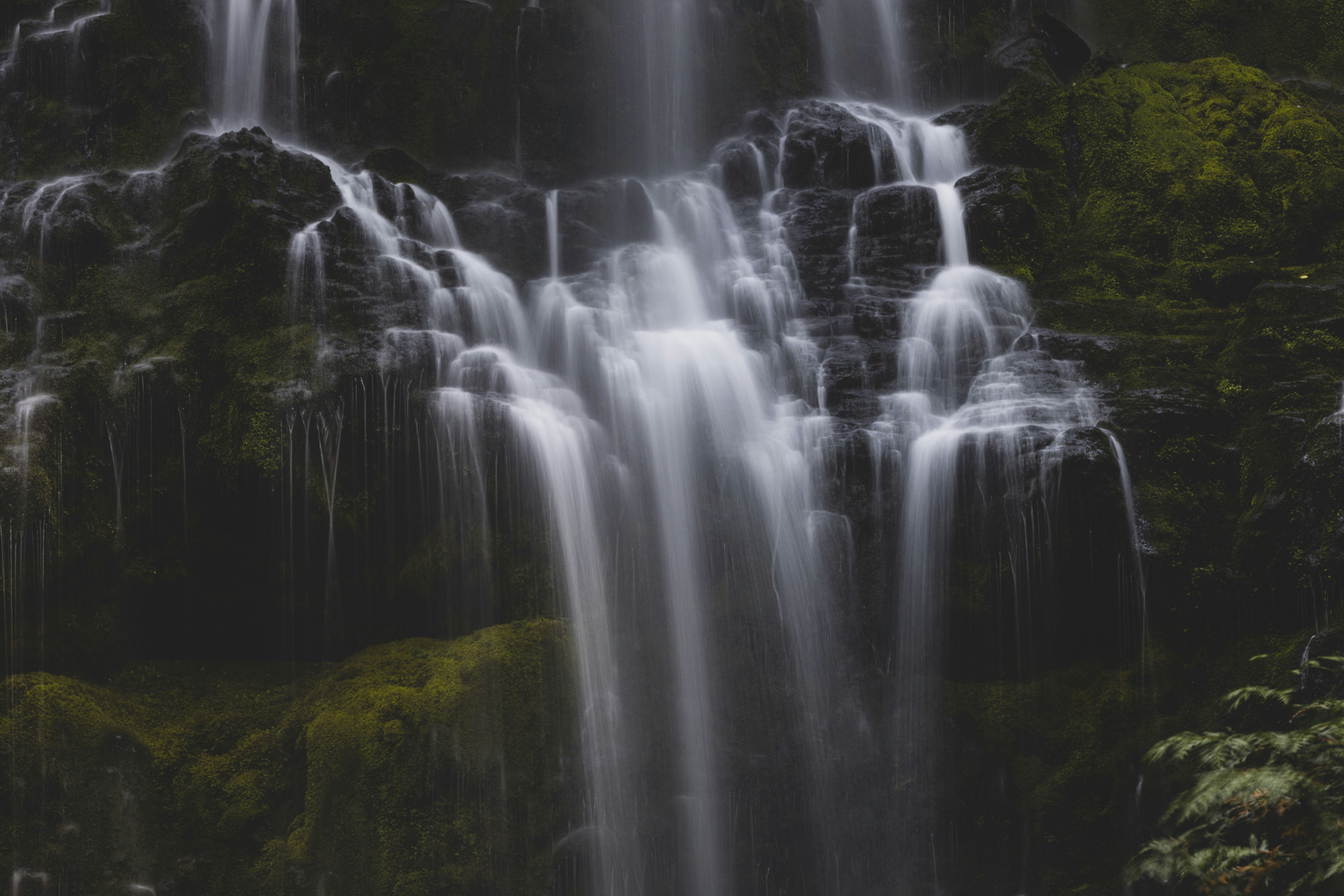 Photo by leo_visions_