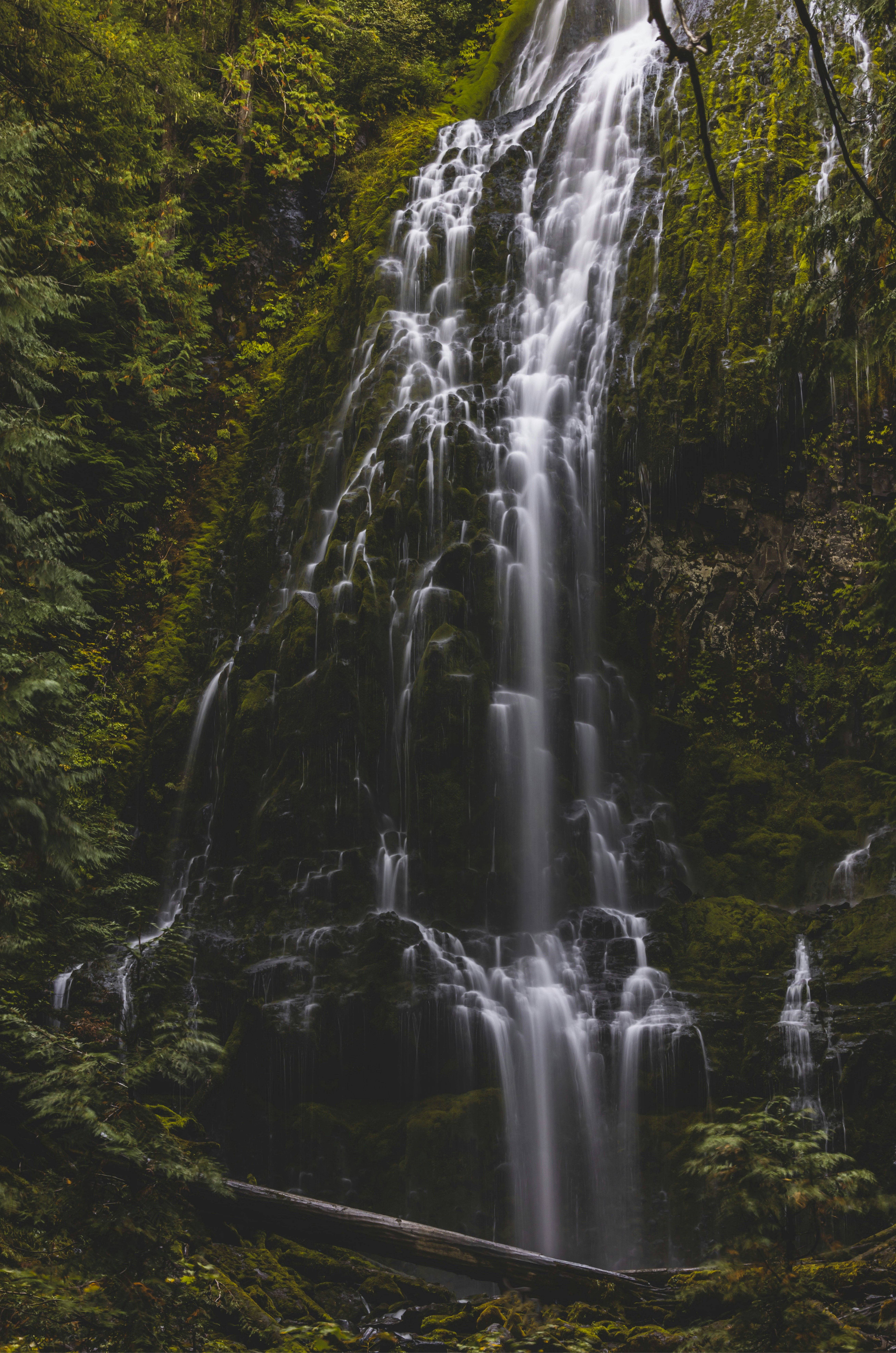 Photo by leo_visions_