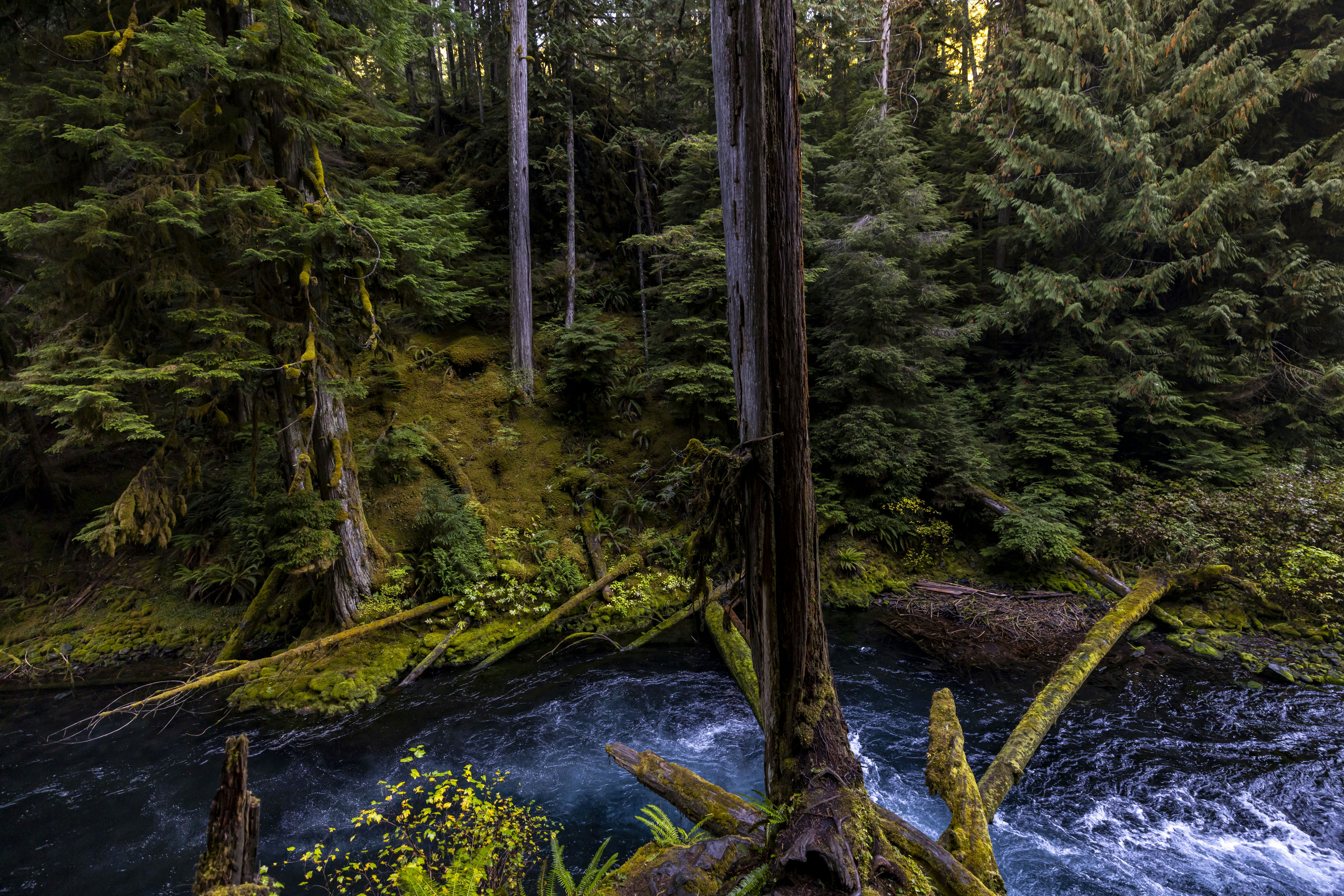 Photo by leo_visions_