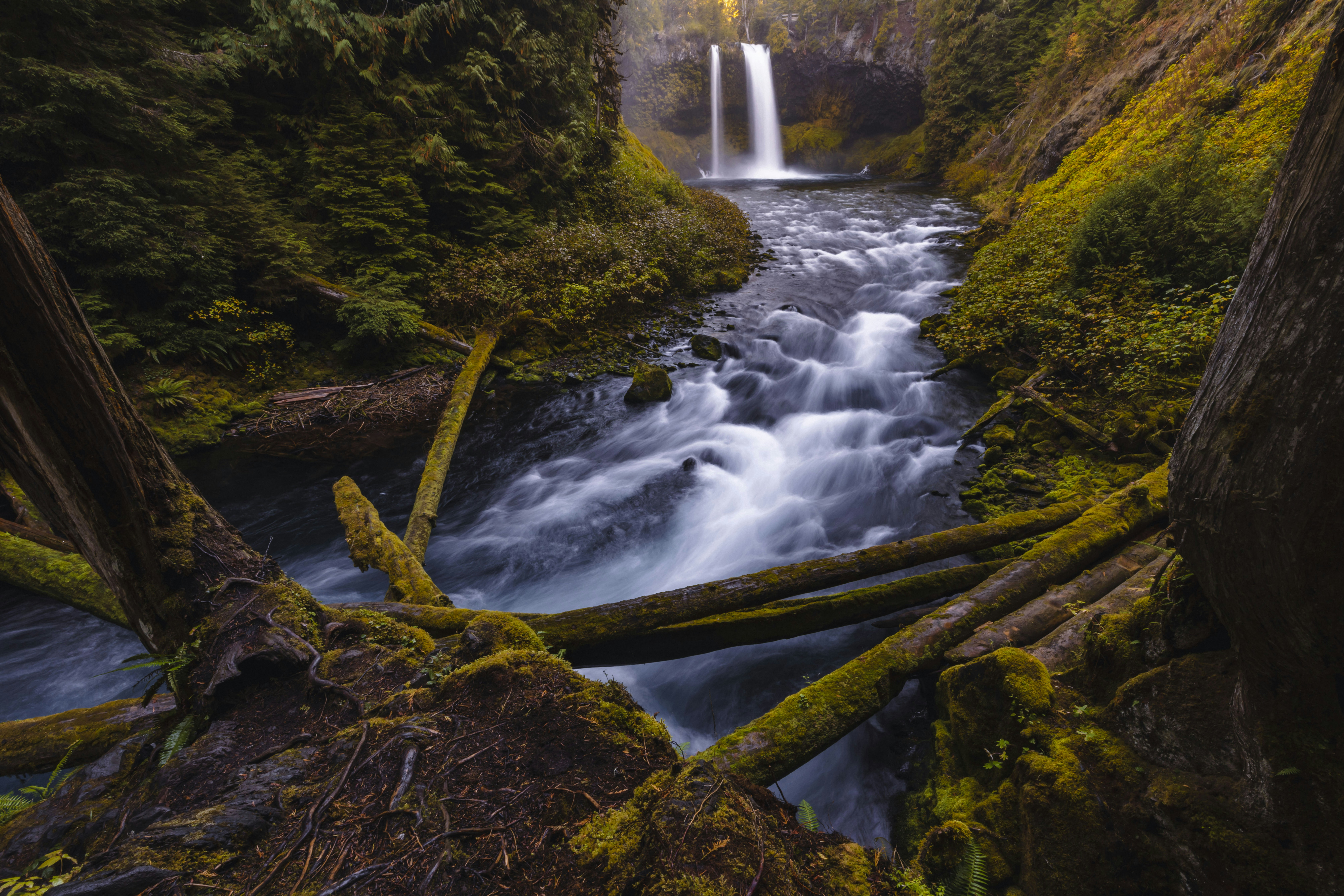 Photo by leo_visions_