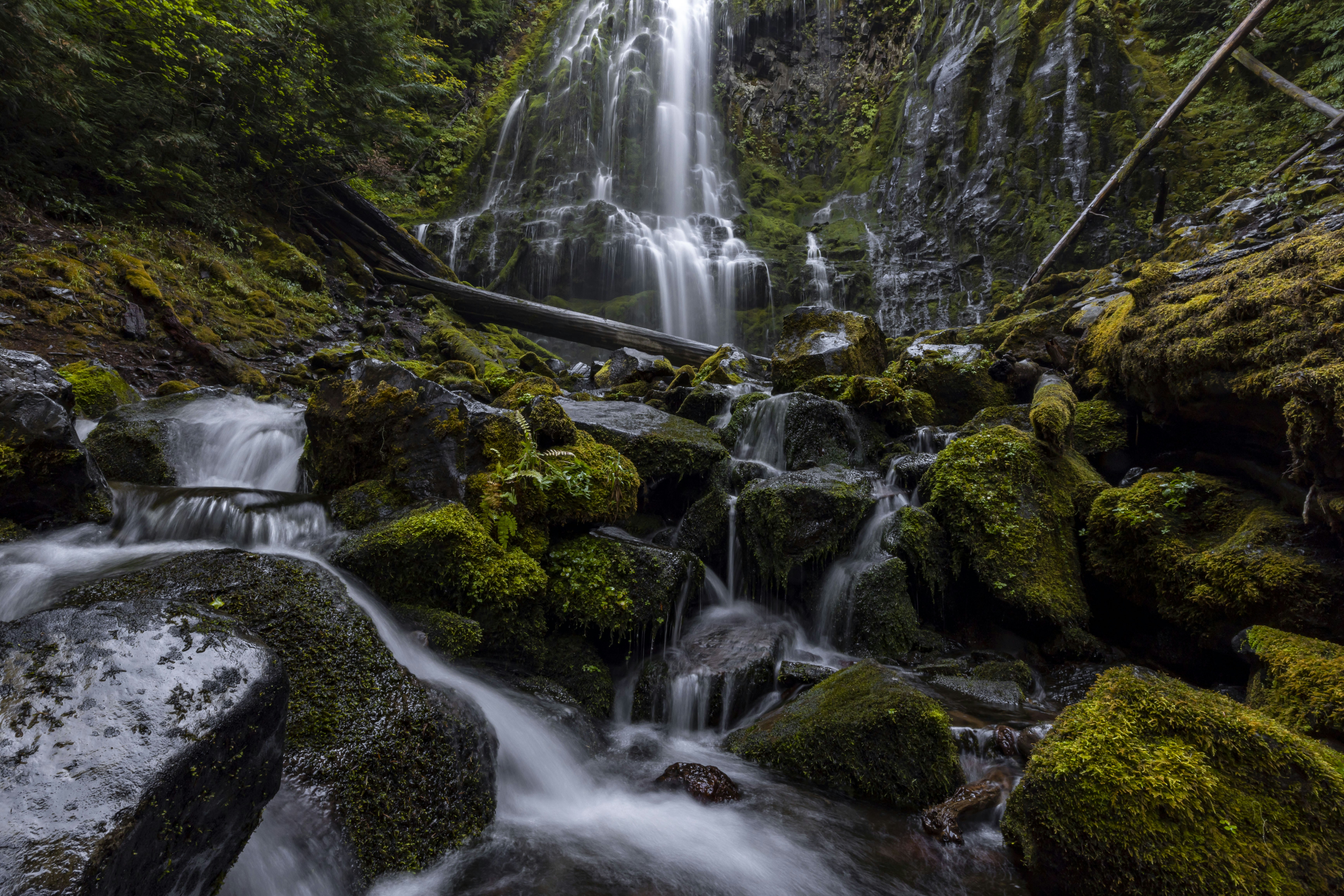 Photo by leo_visions_