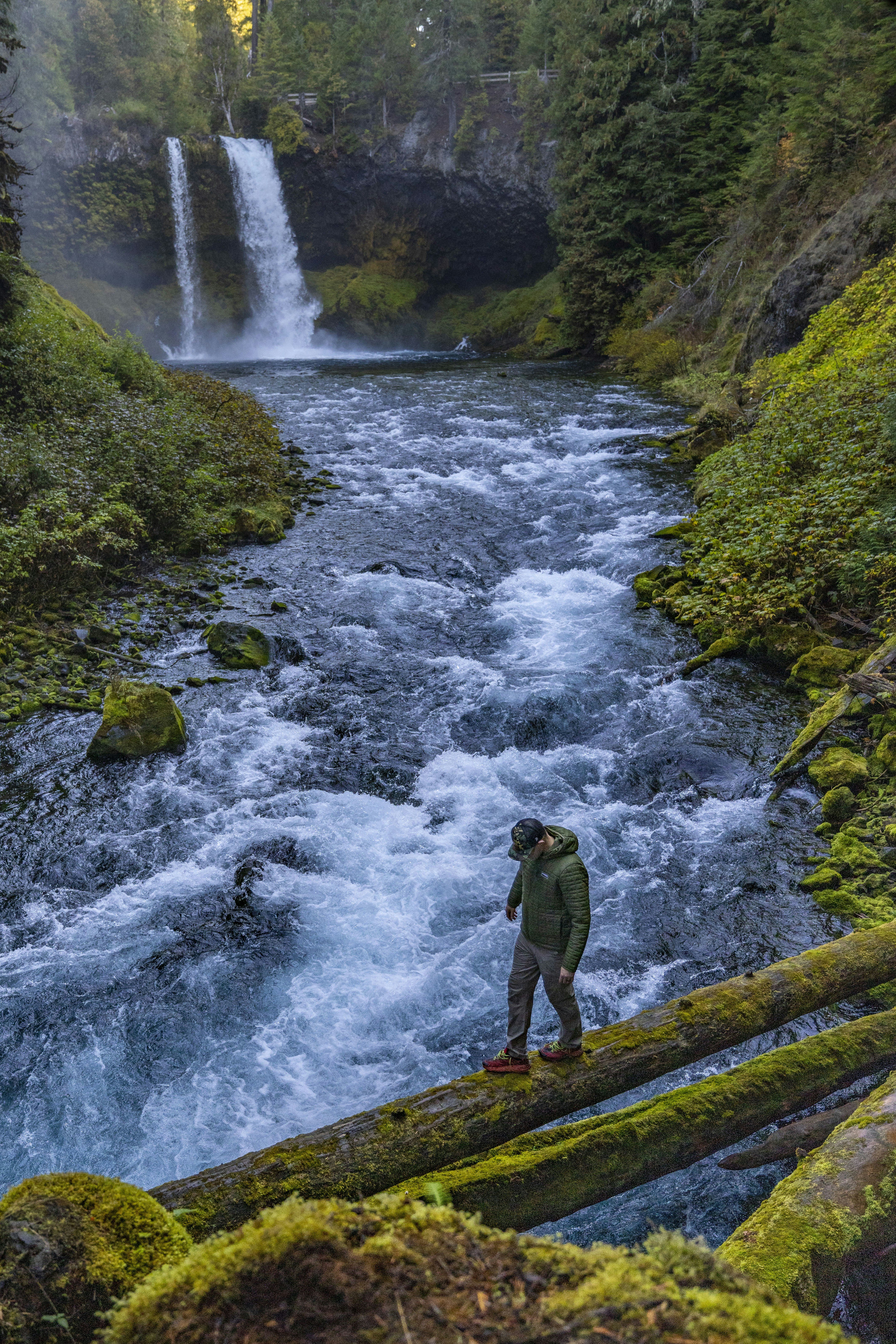 a man standing on a log next to a river