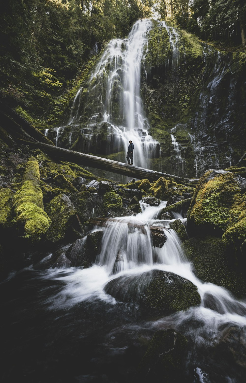 a man standing on a log in front of a waterfall