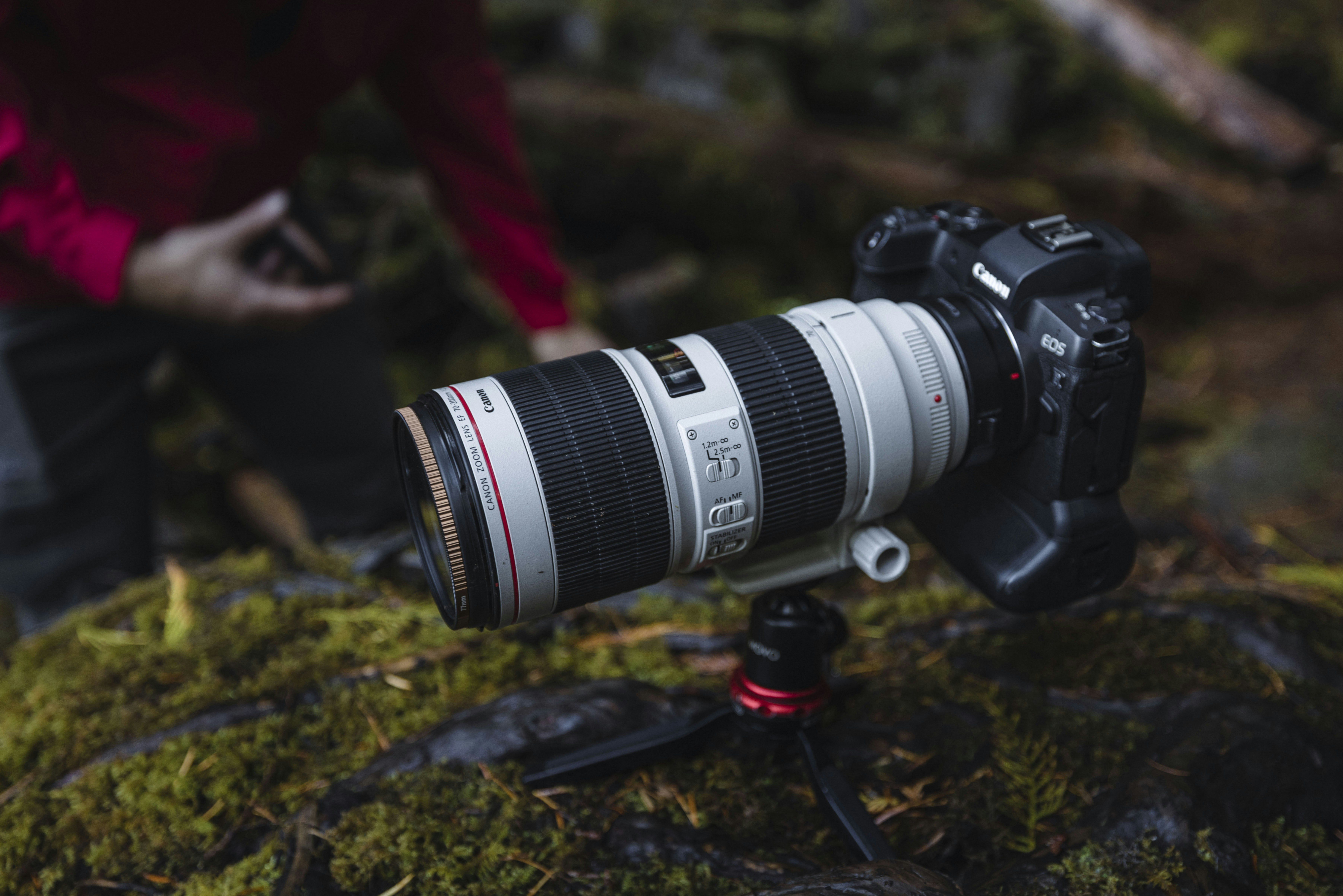 Photo by leo_visions_