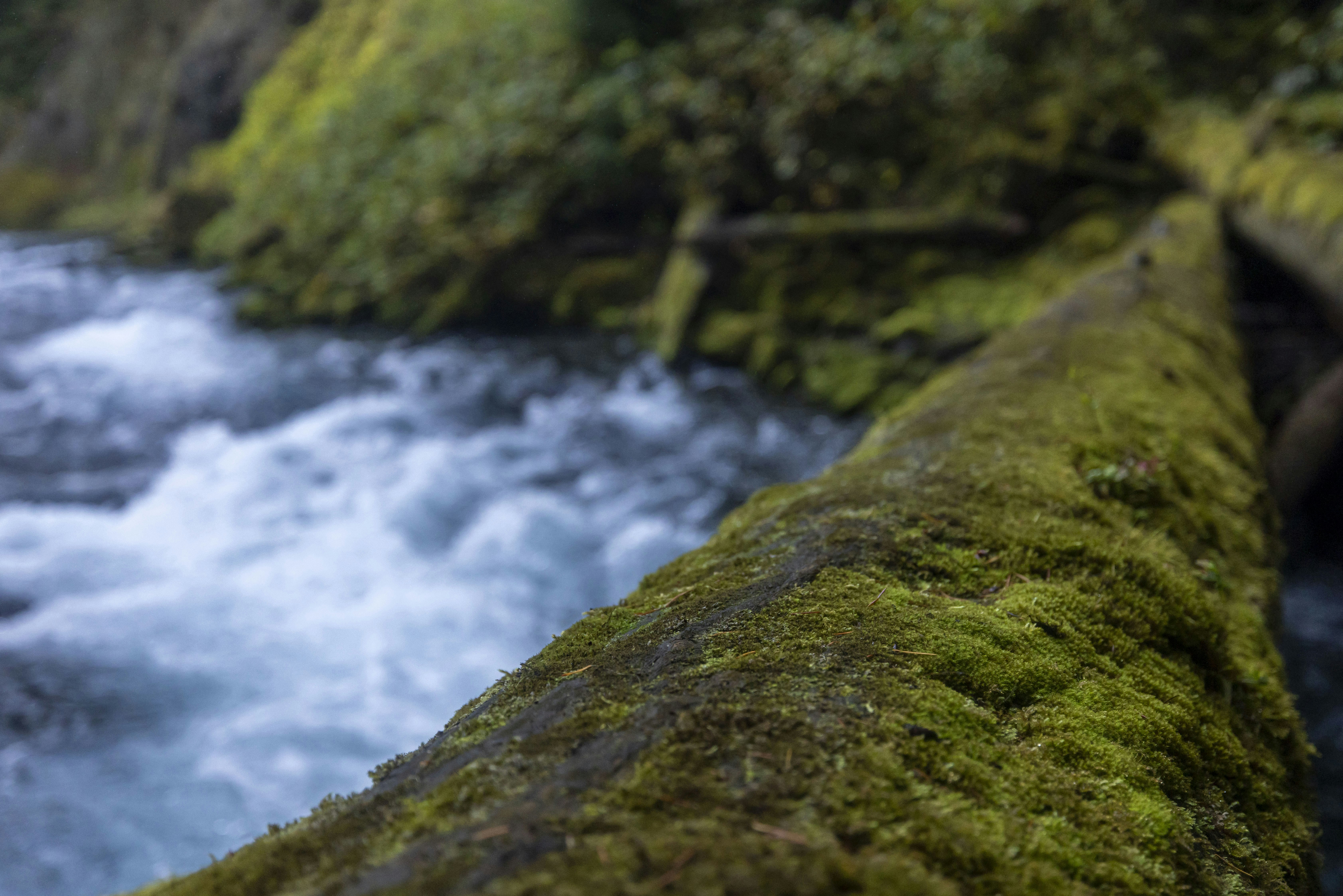 Photo by leo_visions_