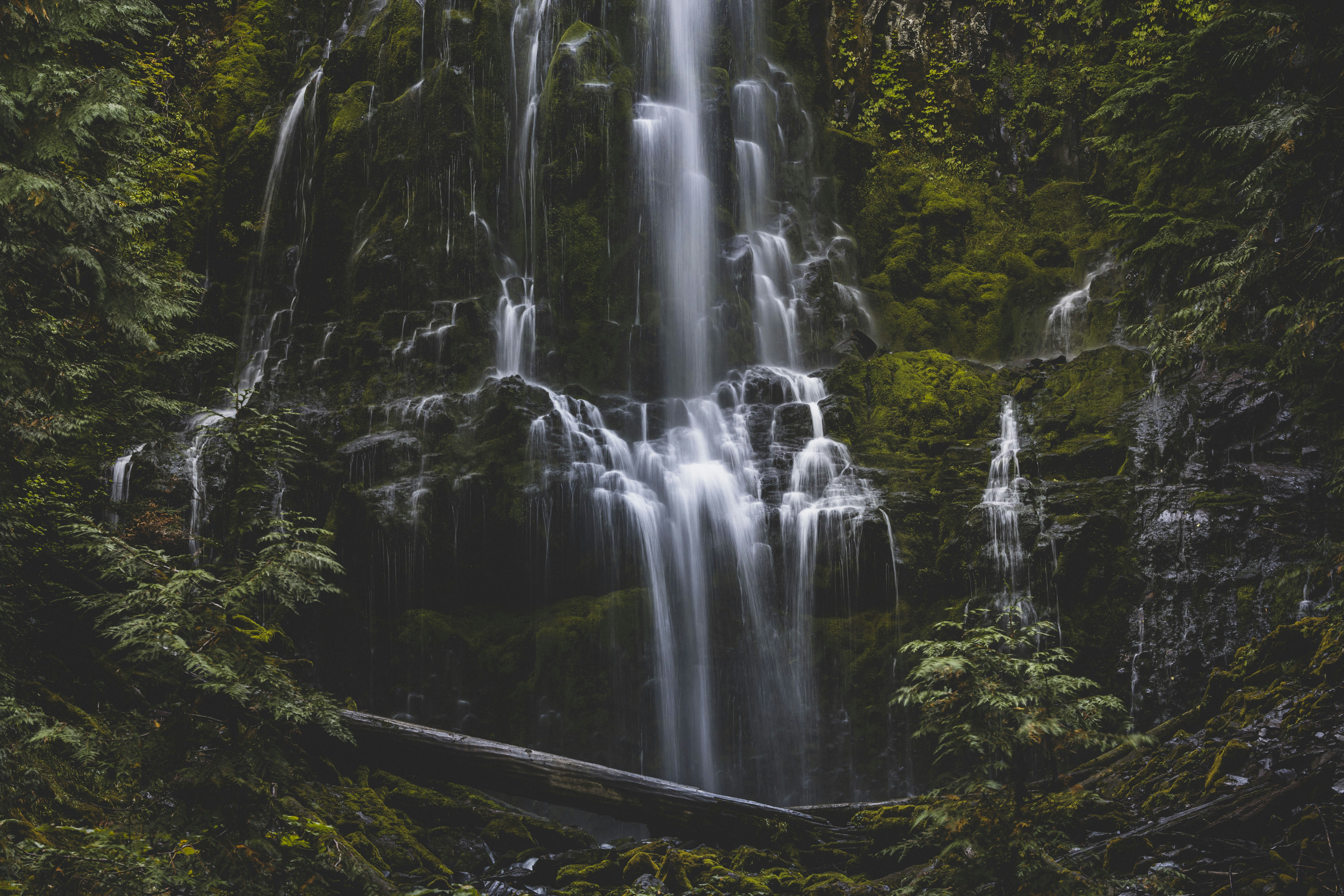 Photo by leo_visions_