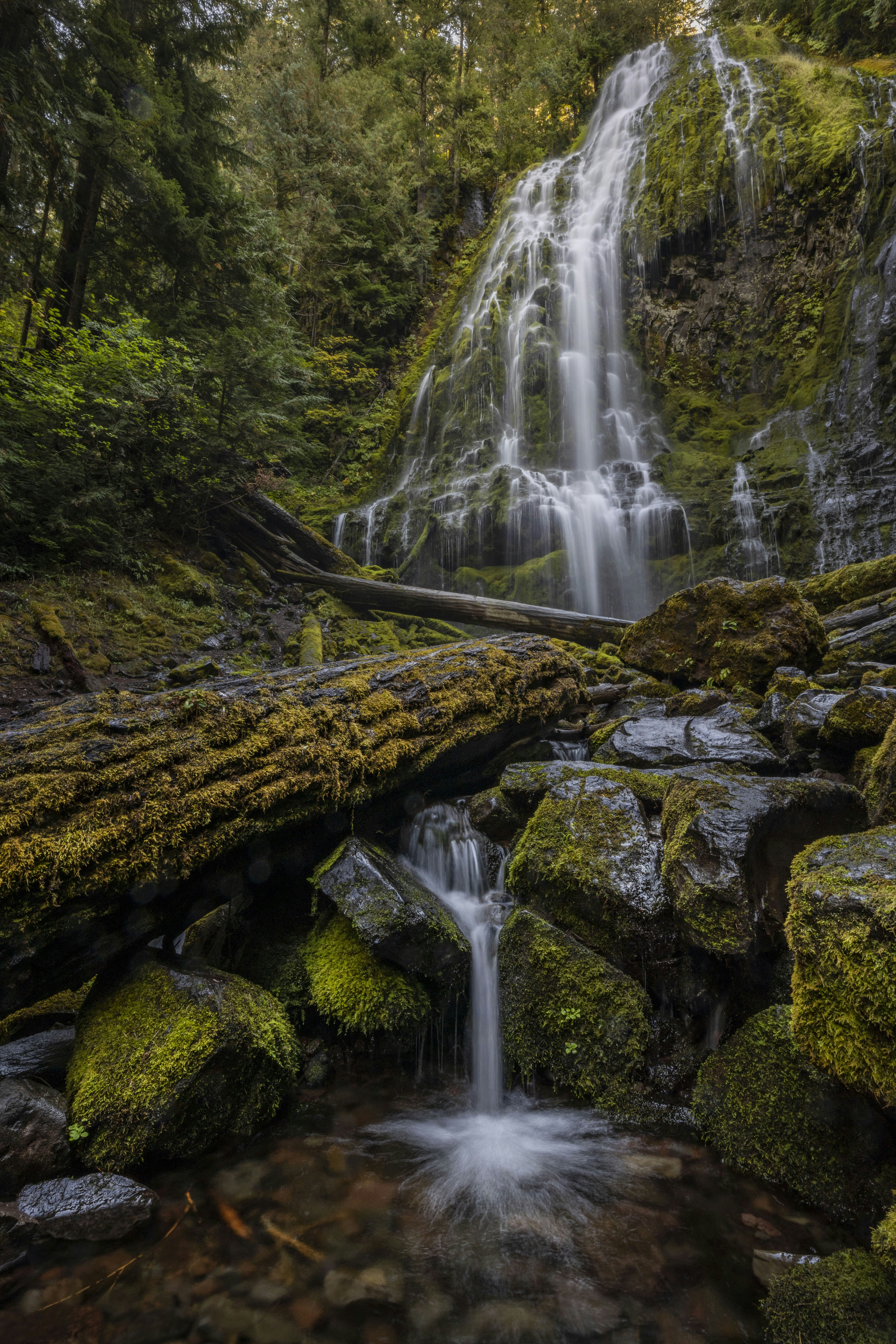 Photo by leo_visions_