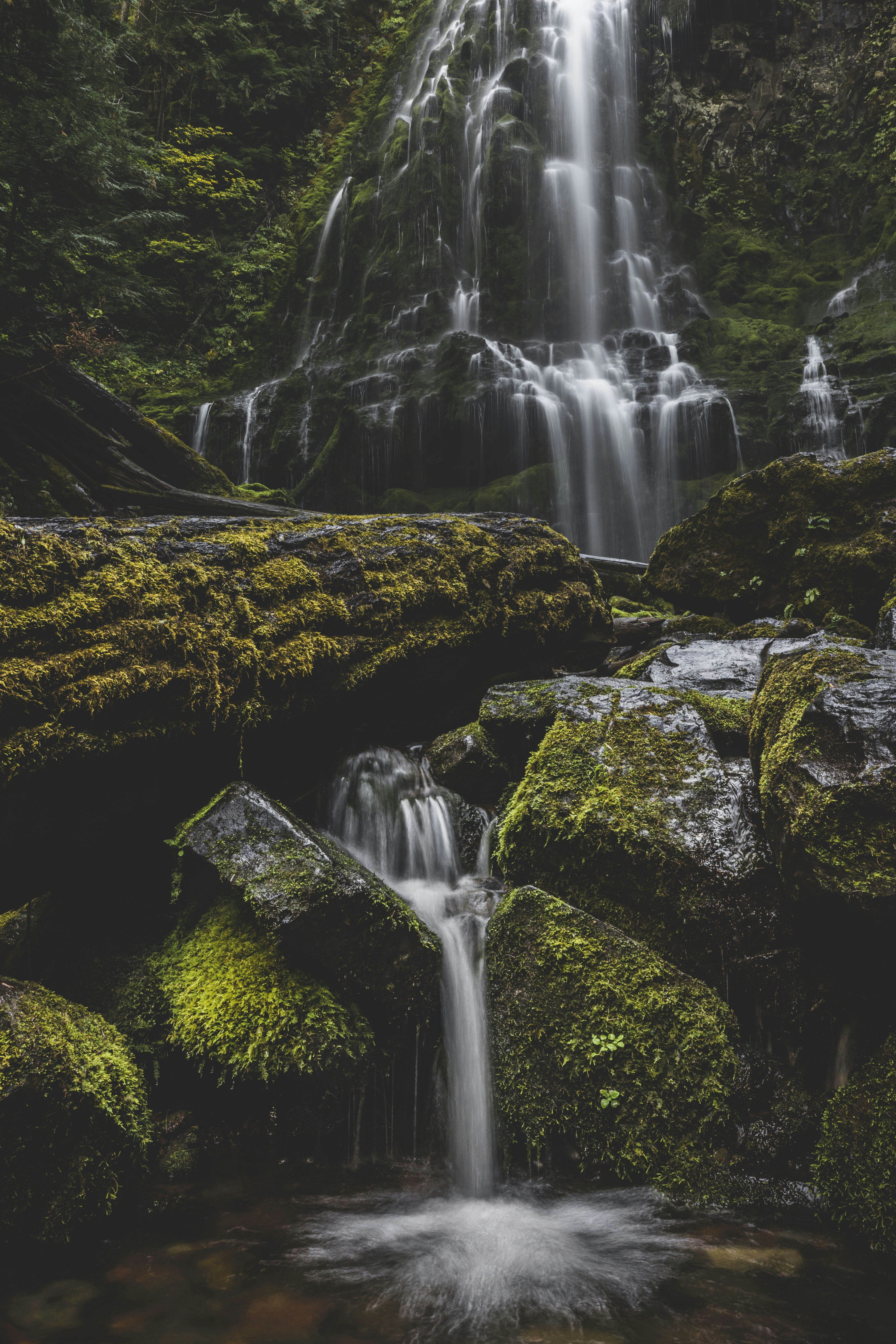 Photo by leo_visions_