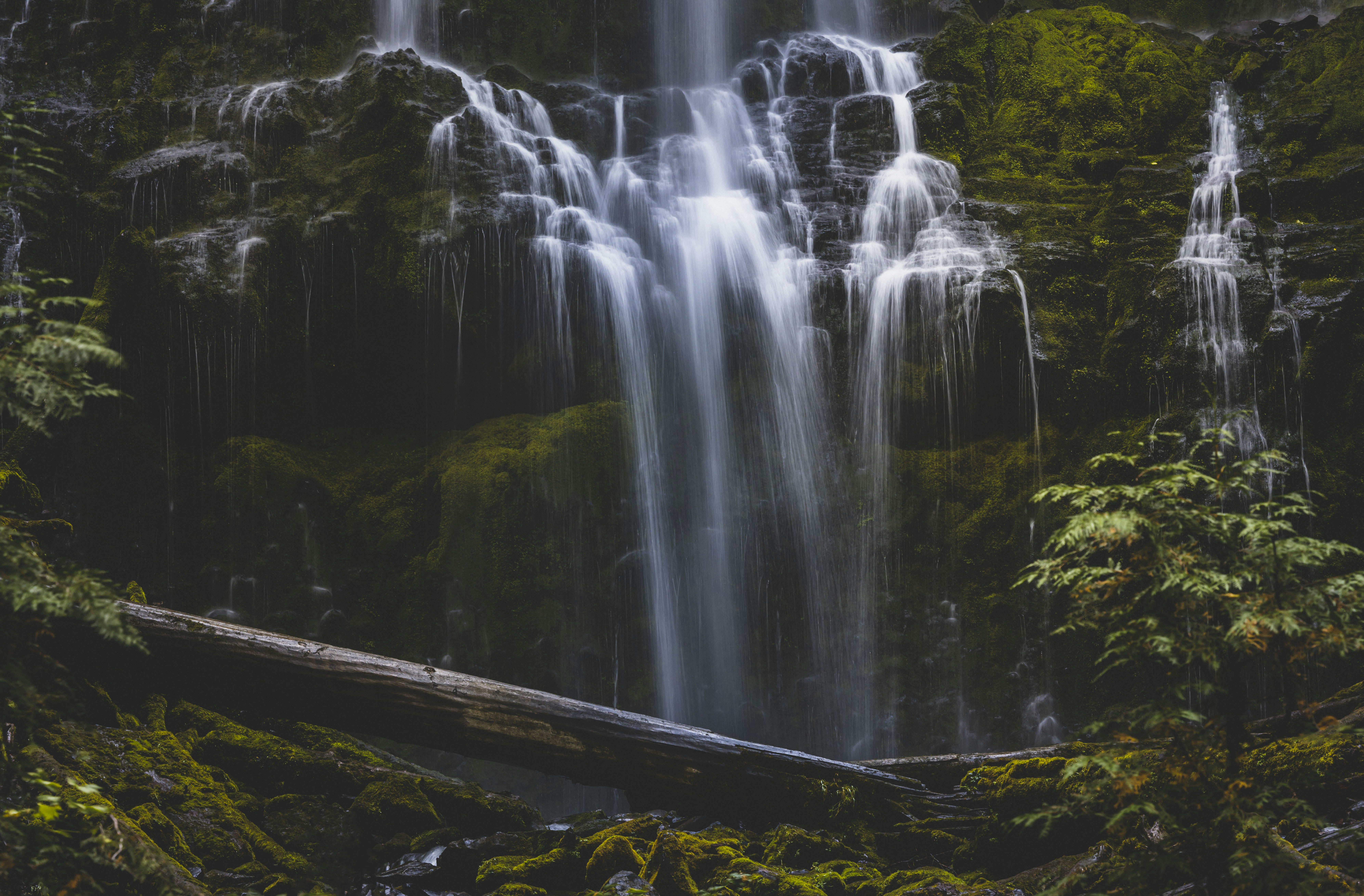 Photo by leo_visions_