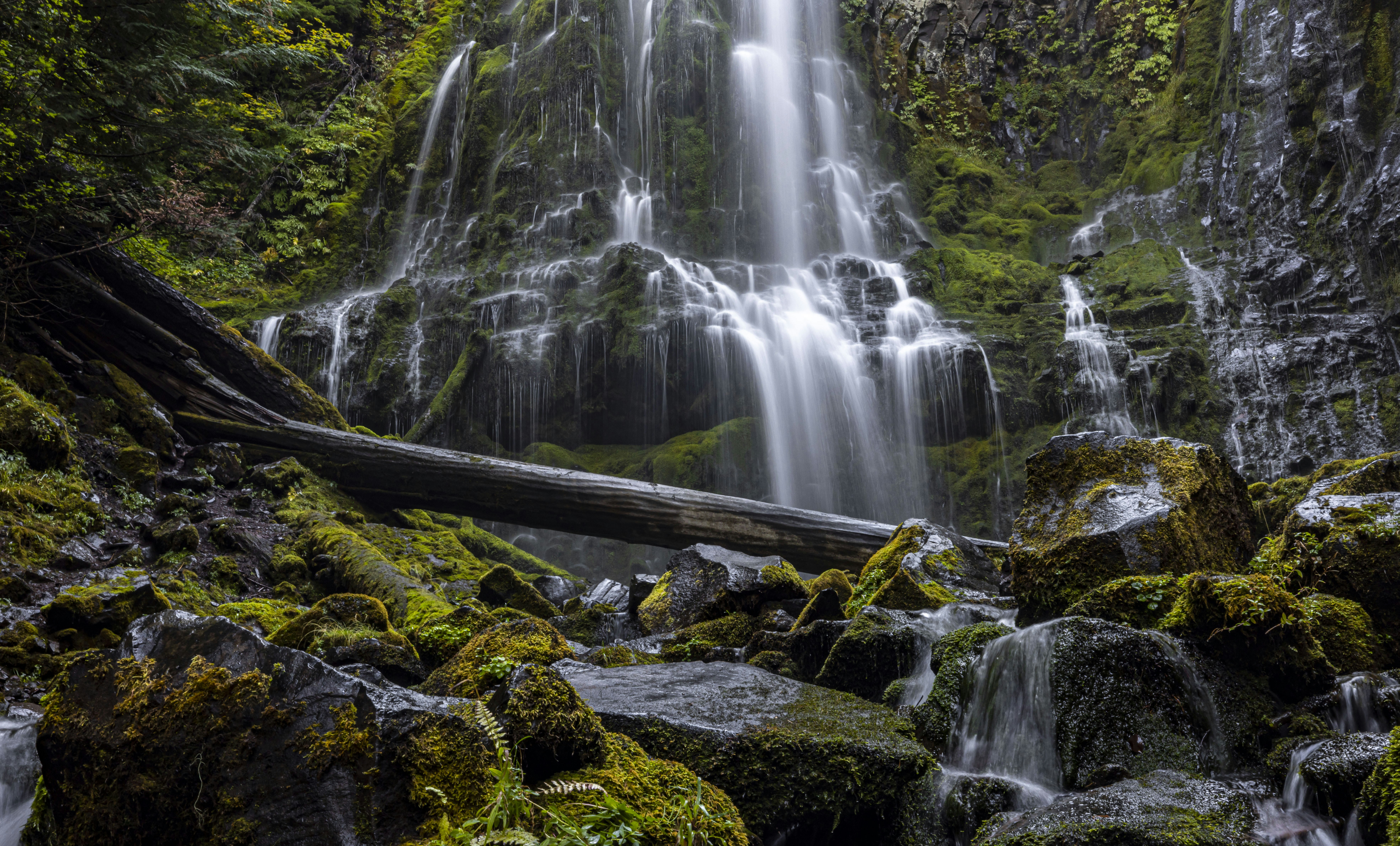 Photo by leo_visions_