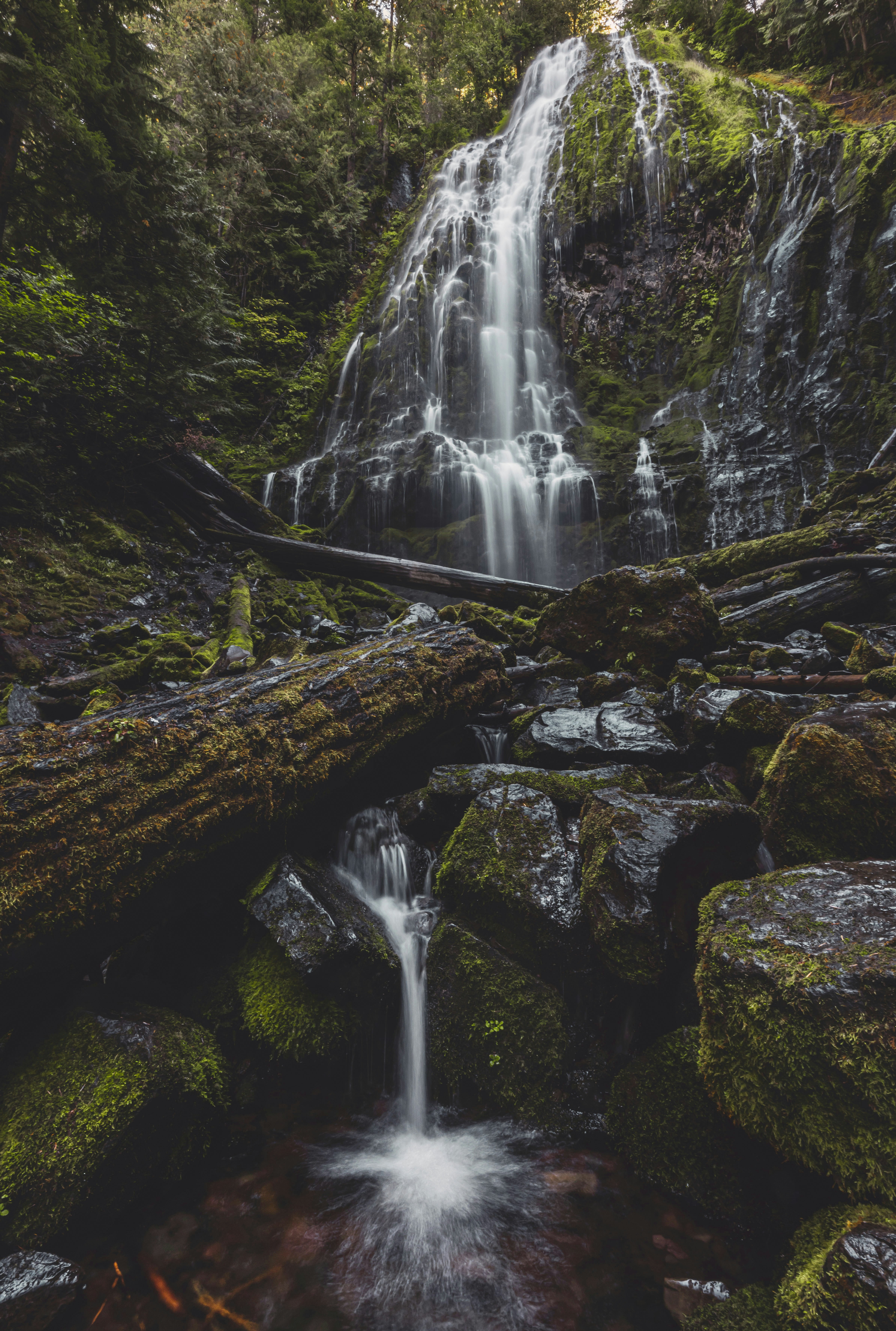 Photo by leo_visions_