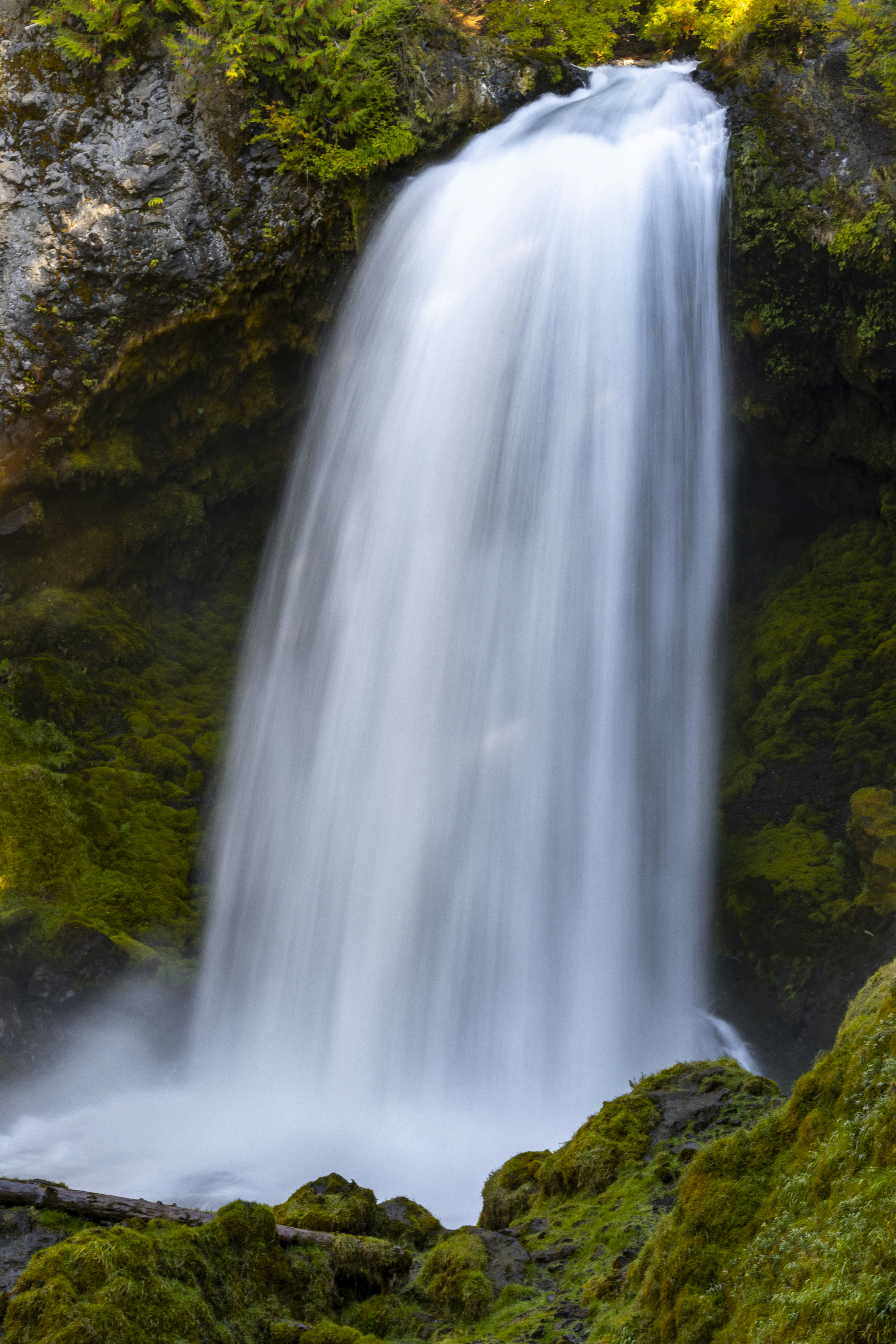 Photo by leo_visions_