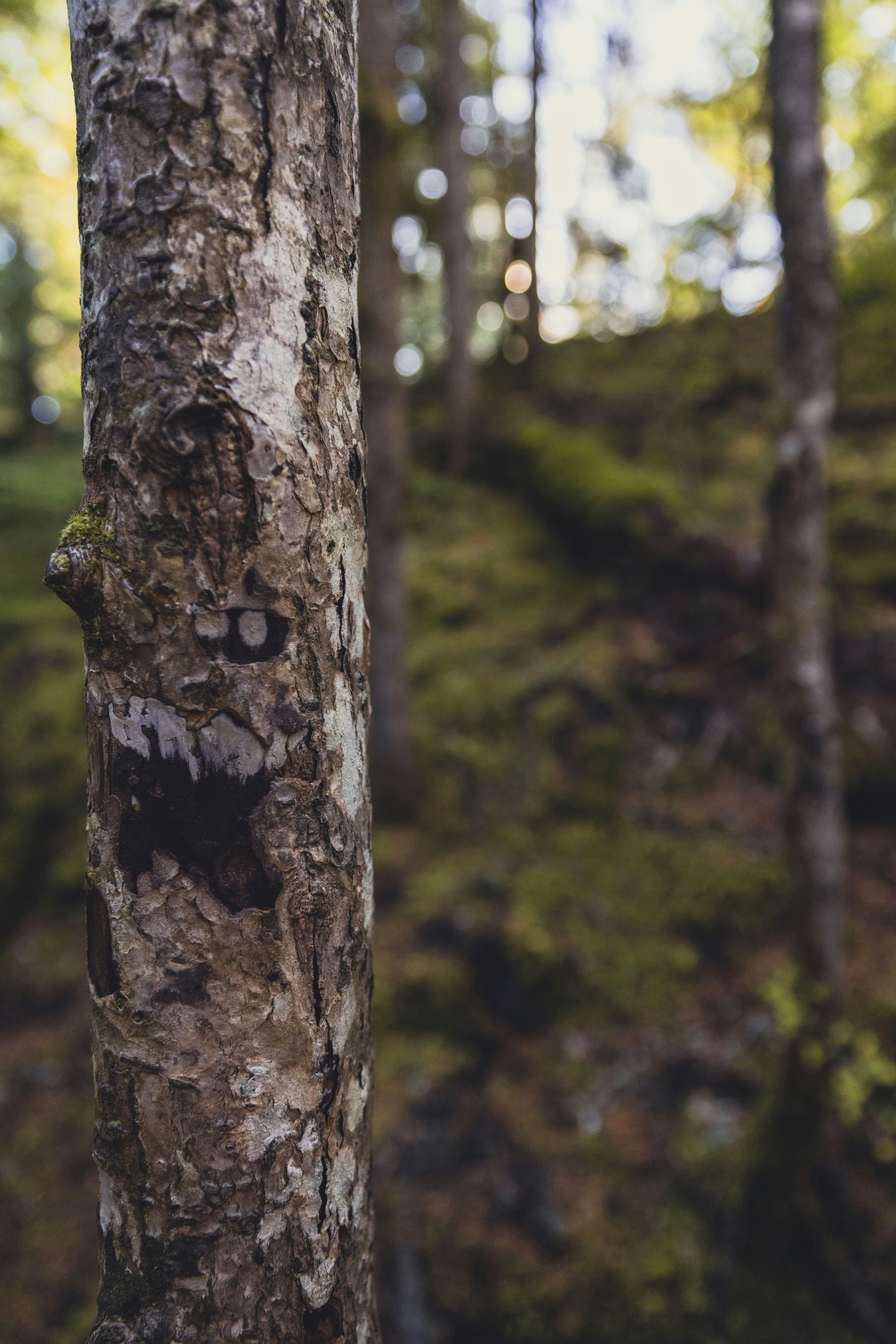 Photo by leo_visions_