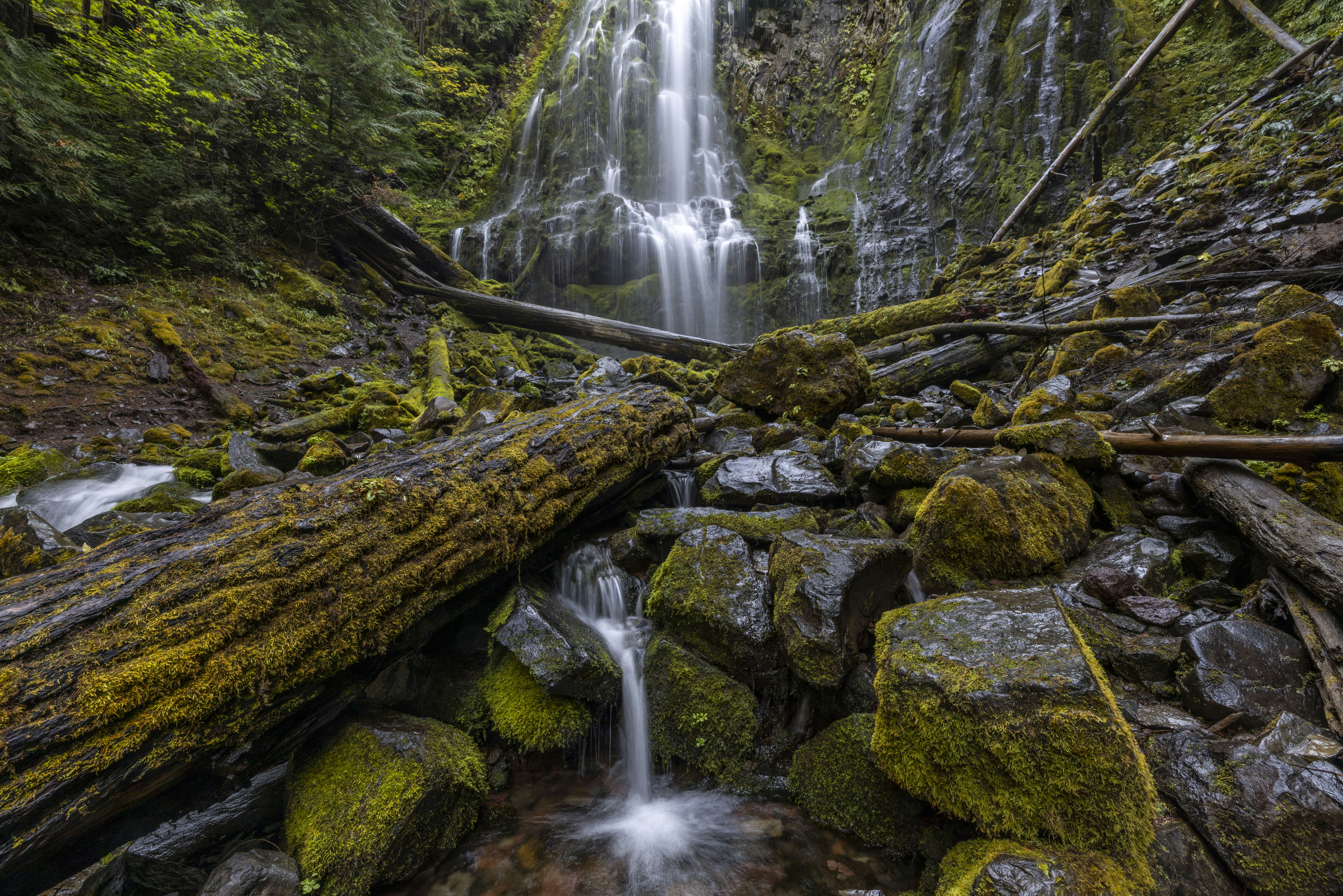 Photo by leo_visions_