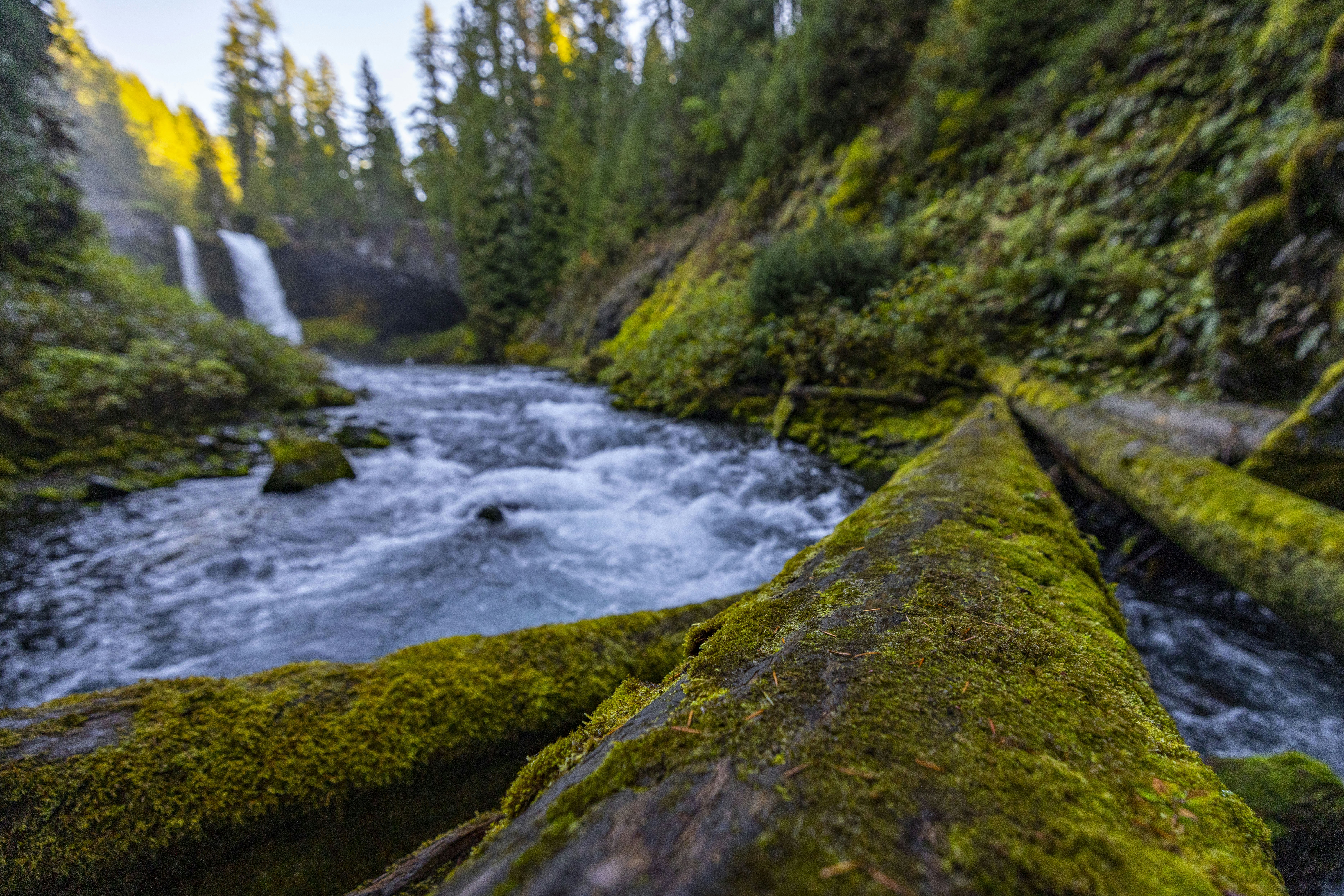 Photo by leo_visions_