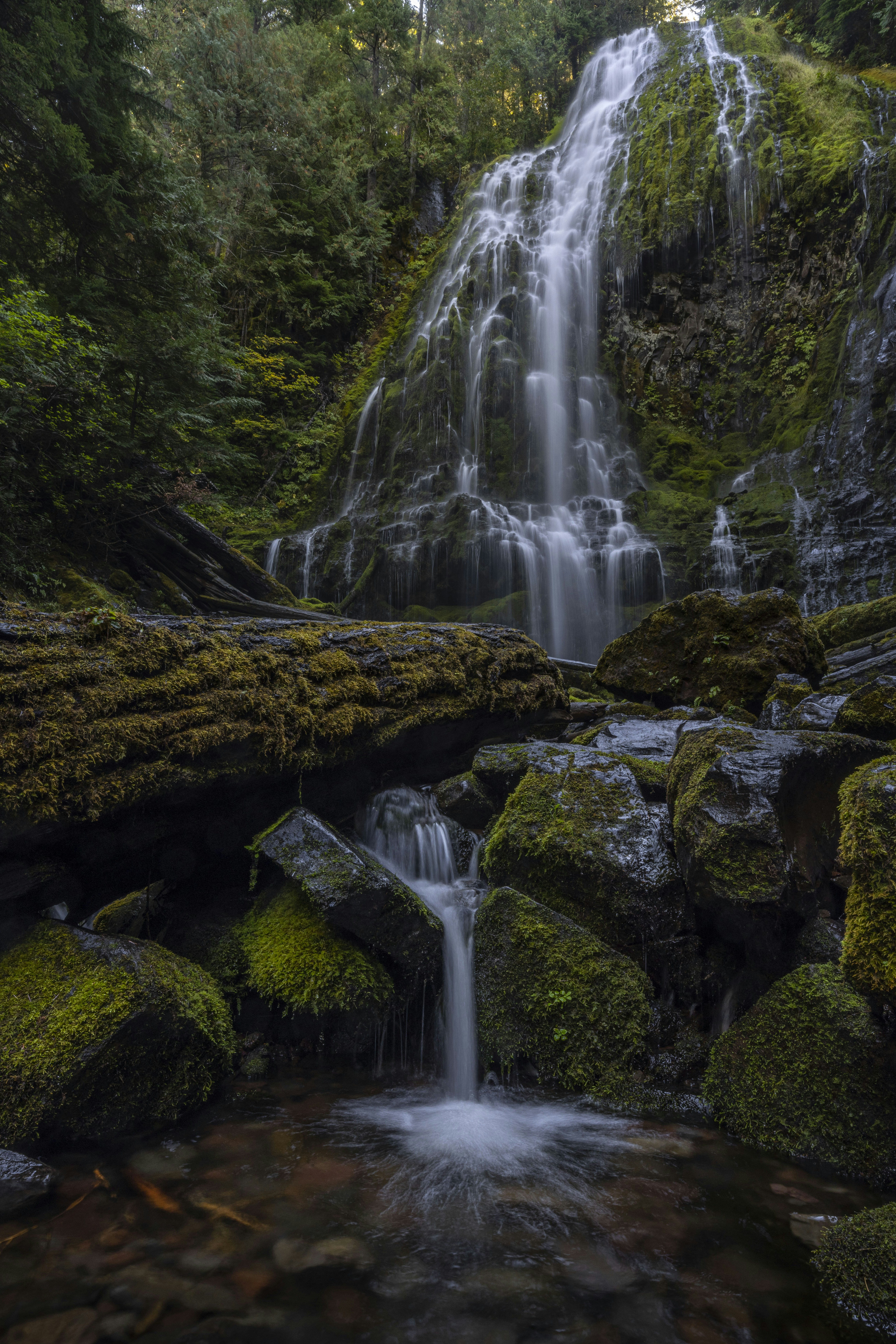 Photo by leo_visions_