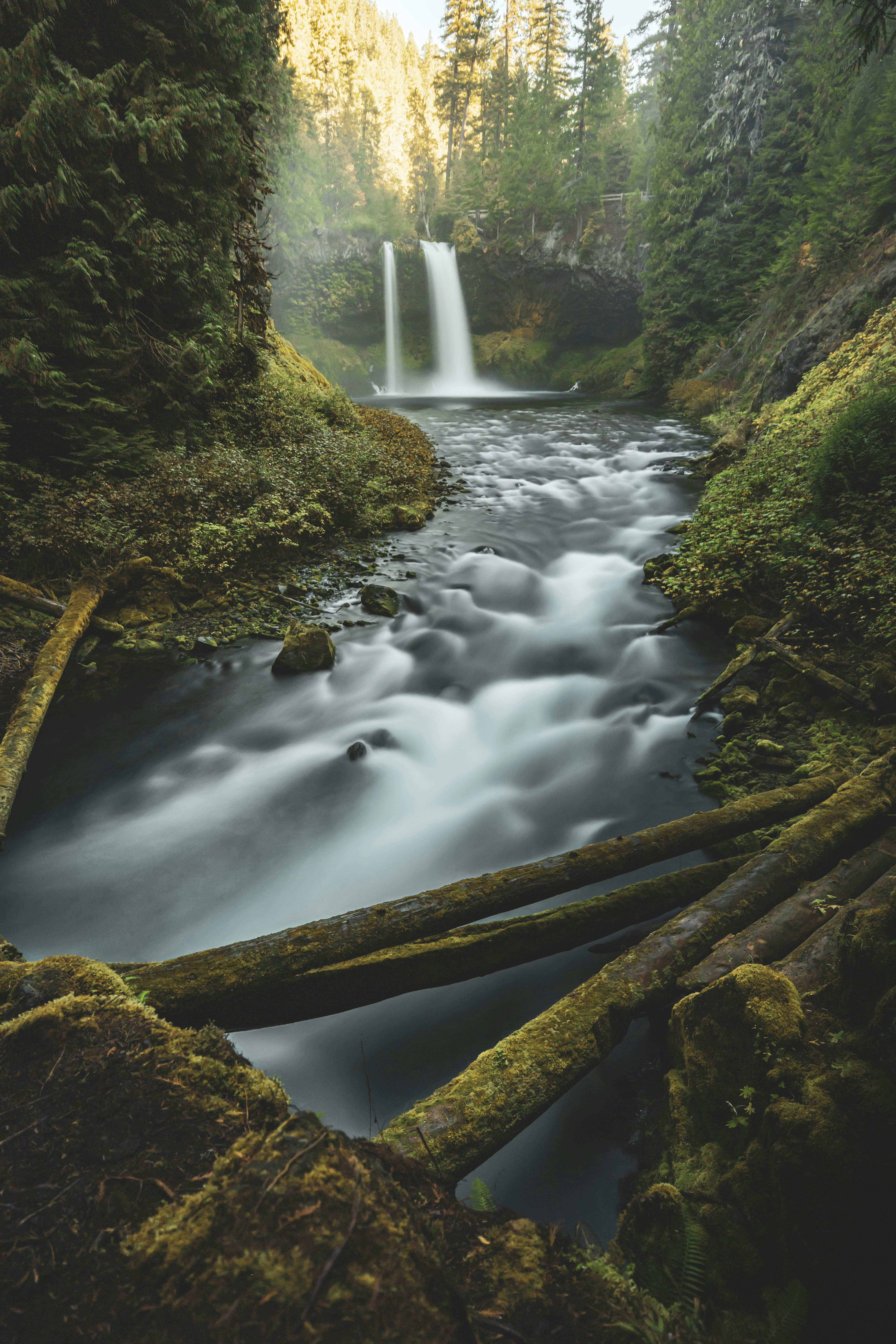 Photo by leo_visions_