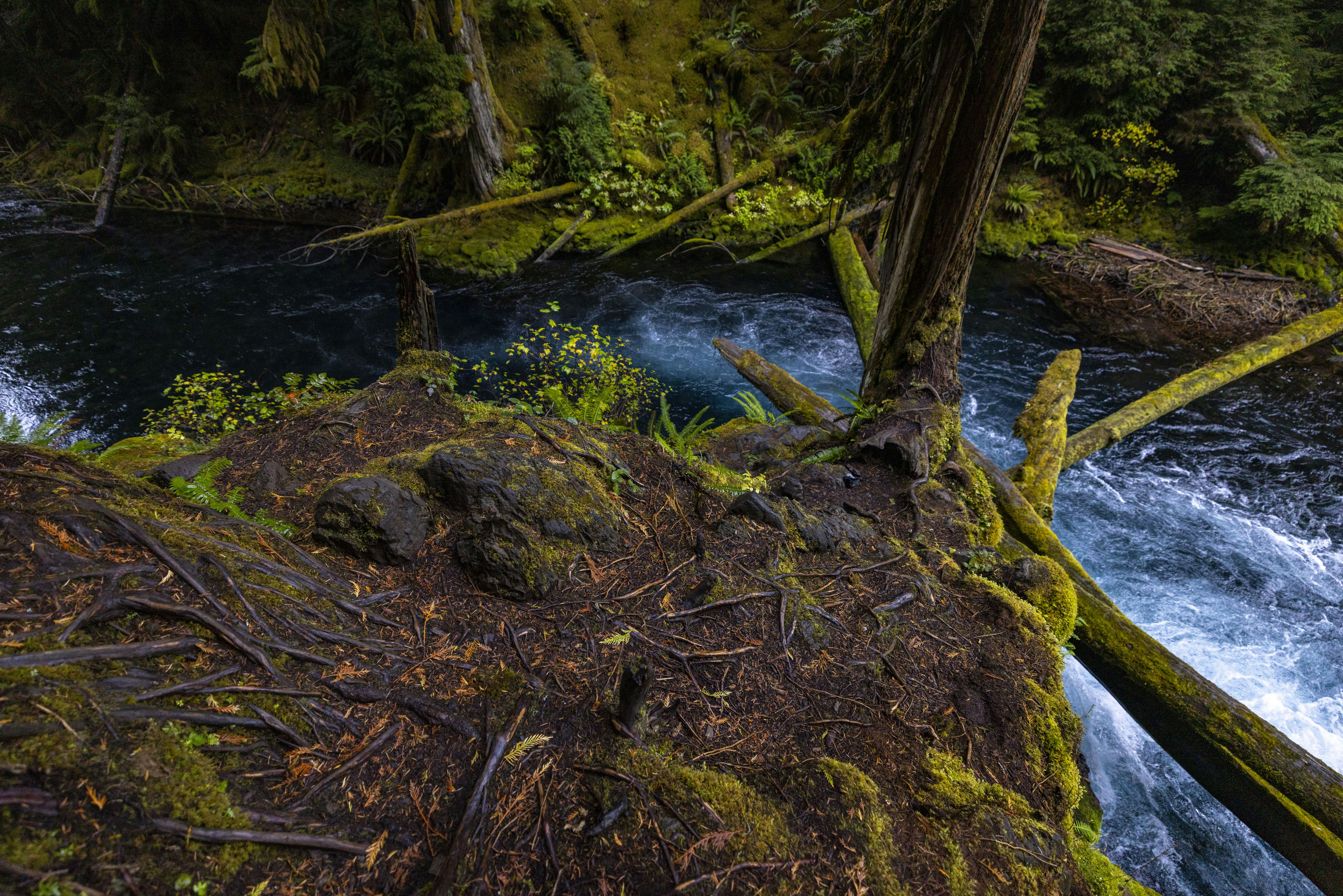 Photo by leo_visions_