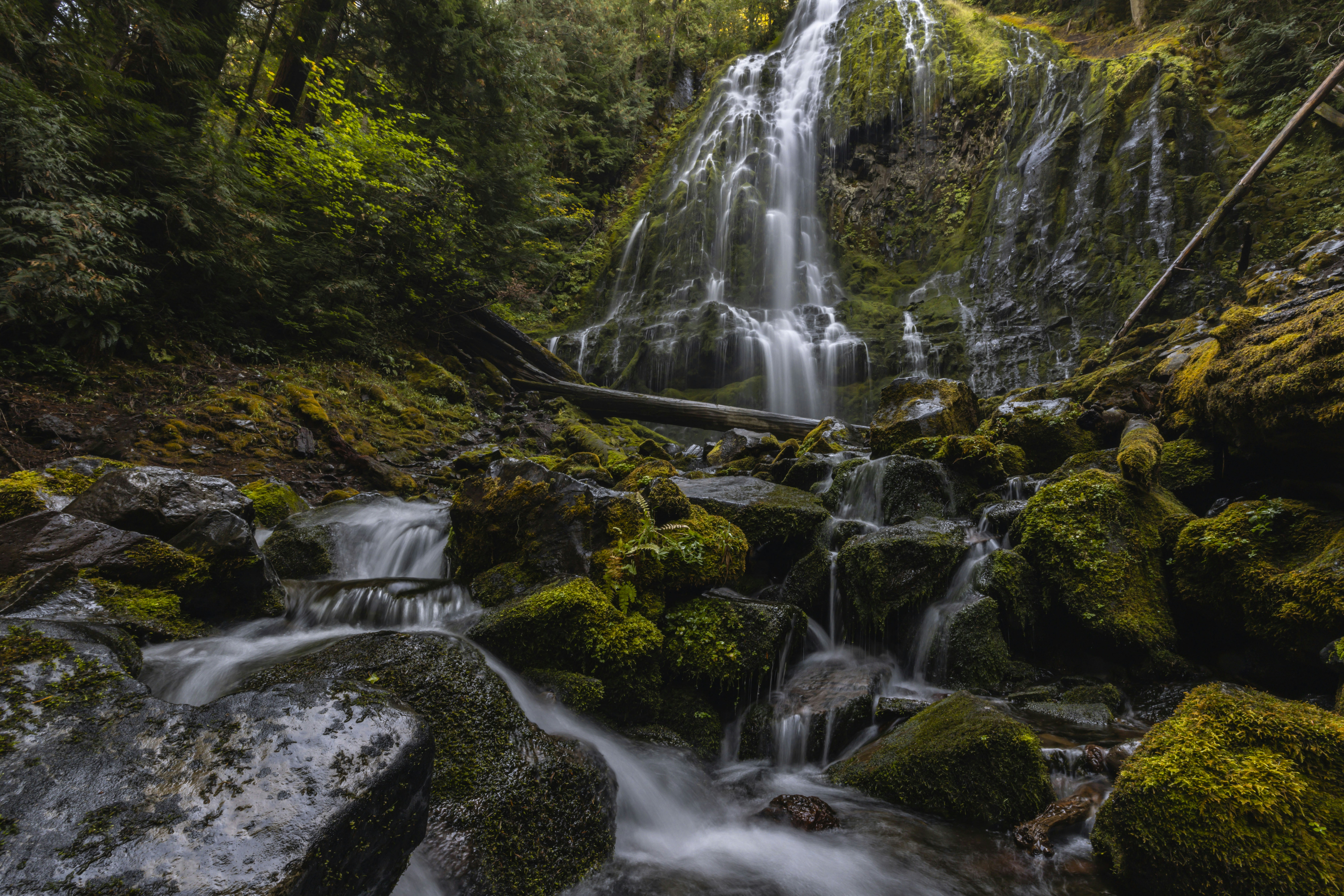 a small waterfall in the middle of a forest