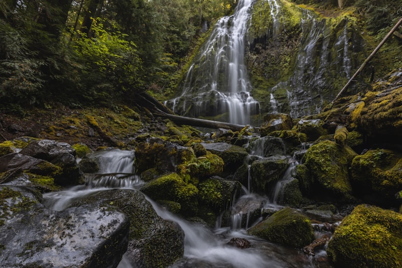 Regalos de Viajes de Última Hora y Económicos para 2026