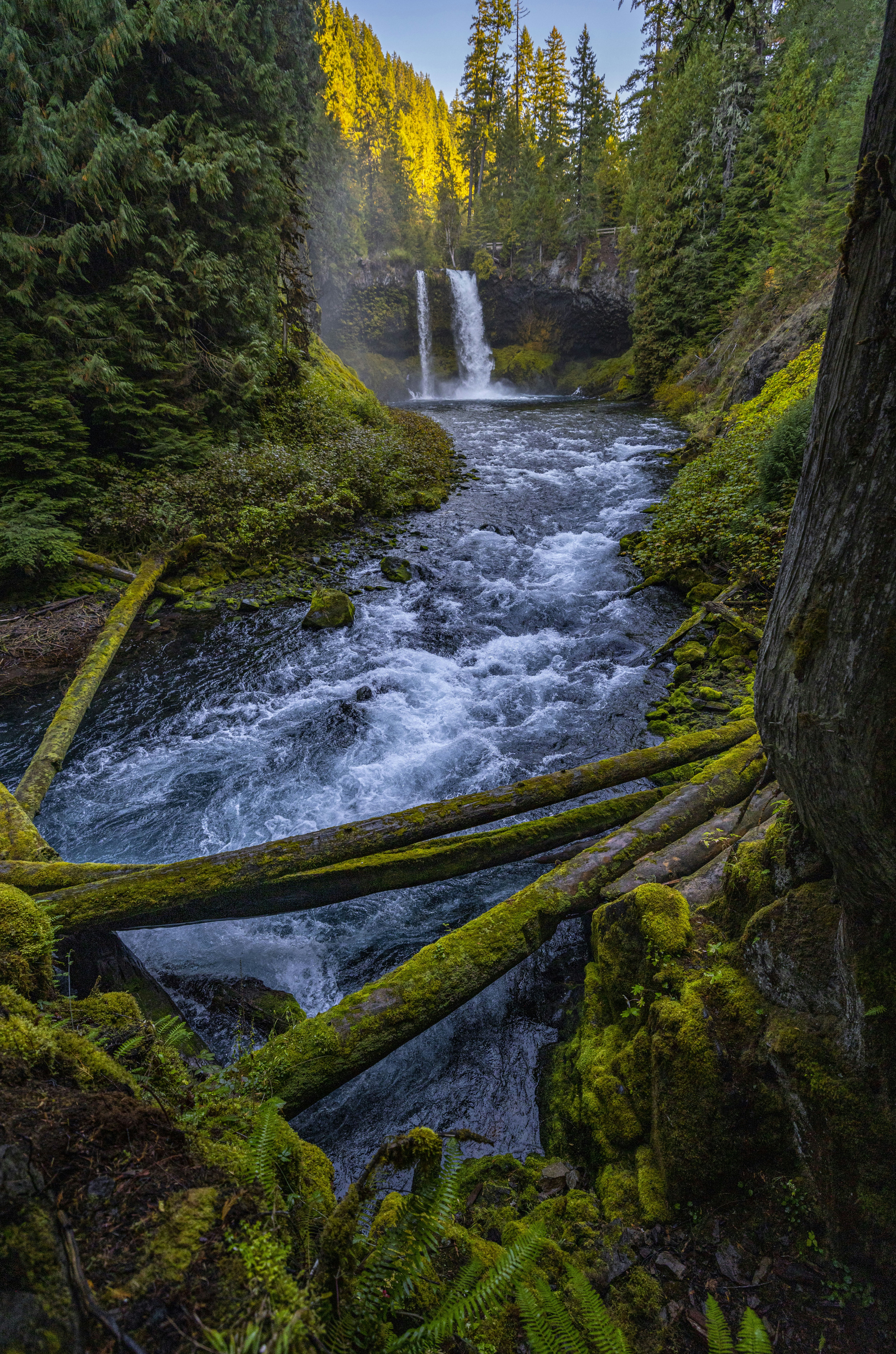 Photo by leo_visions_