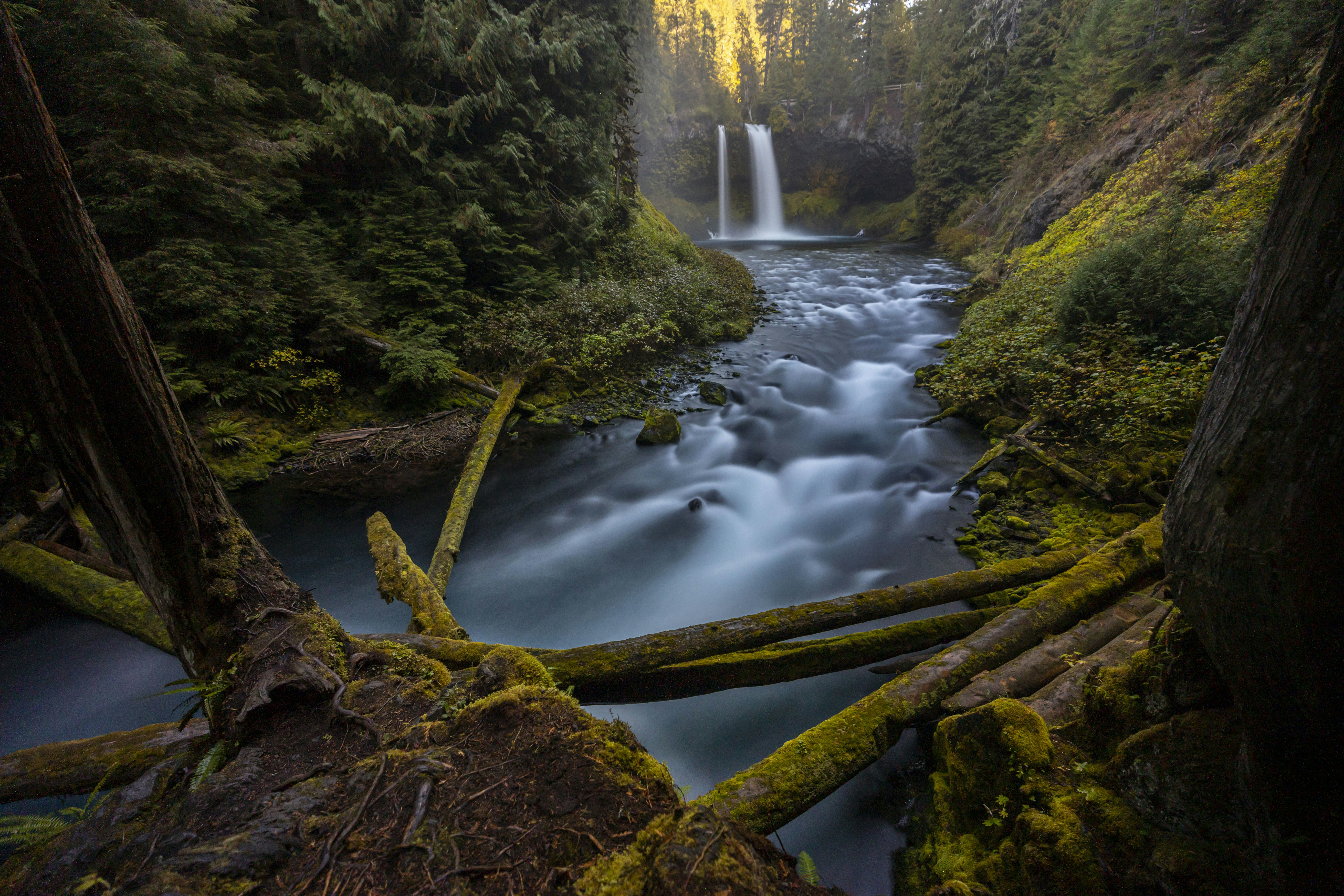 Photo by leo_visions_