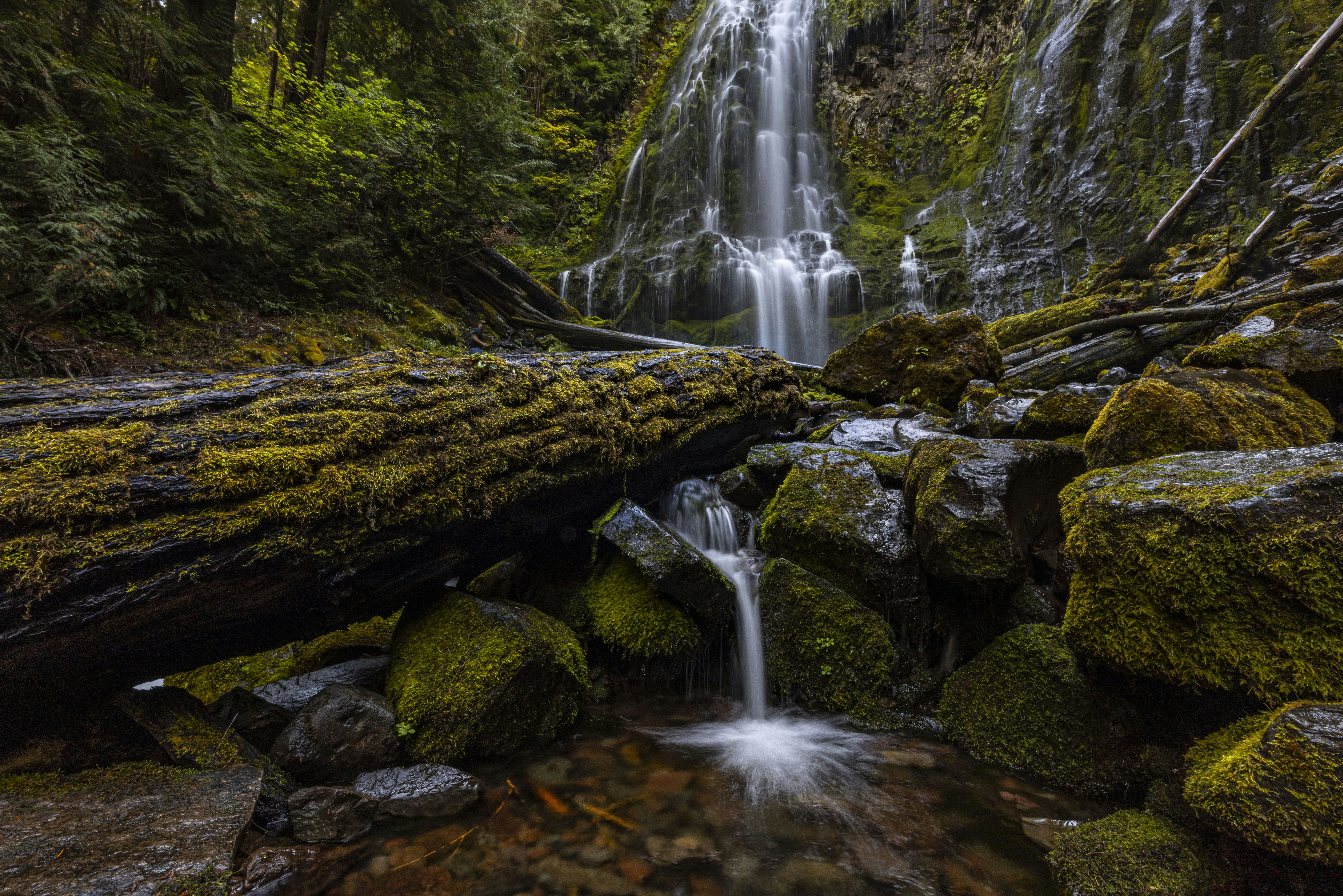 Photo by leo_visions_