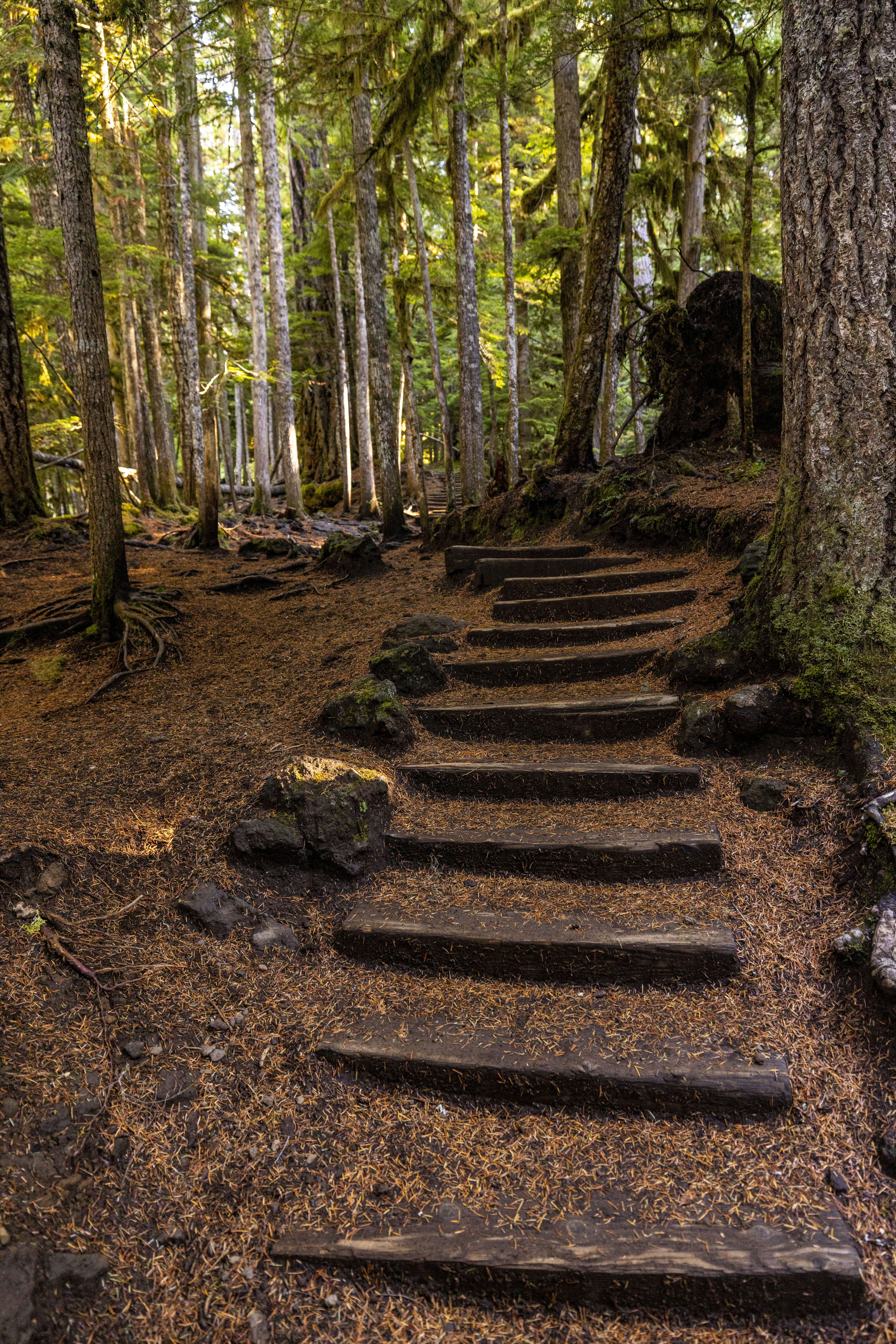 Photo by leo_visions_