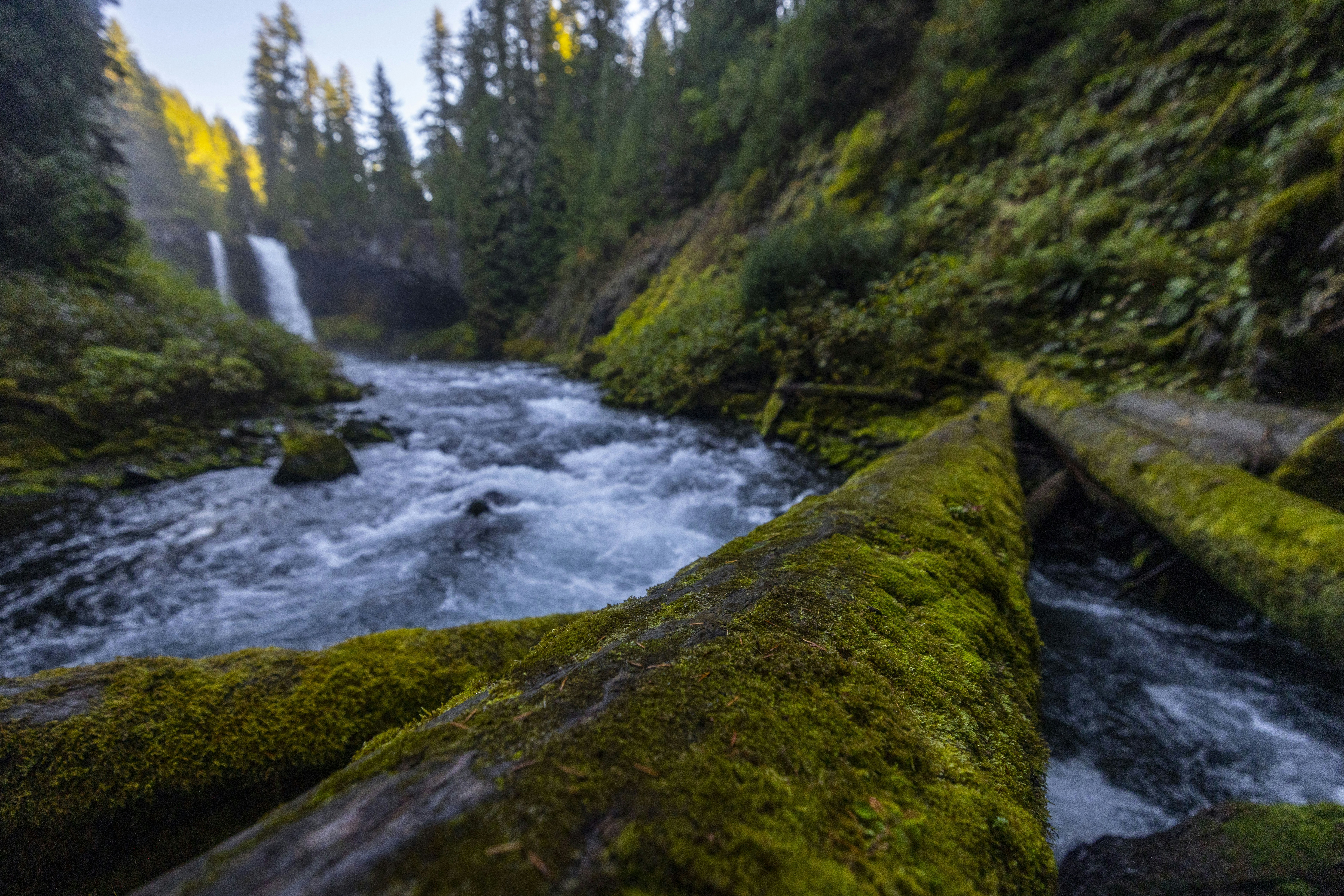 Photo by leo_visions_