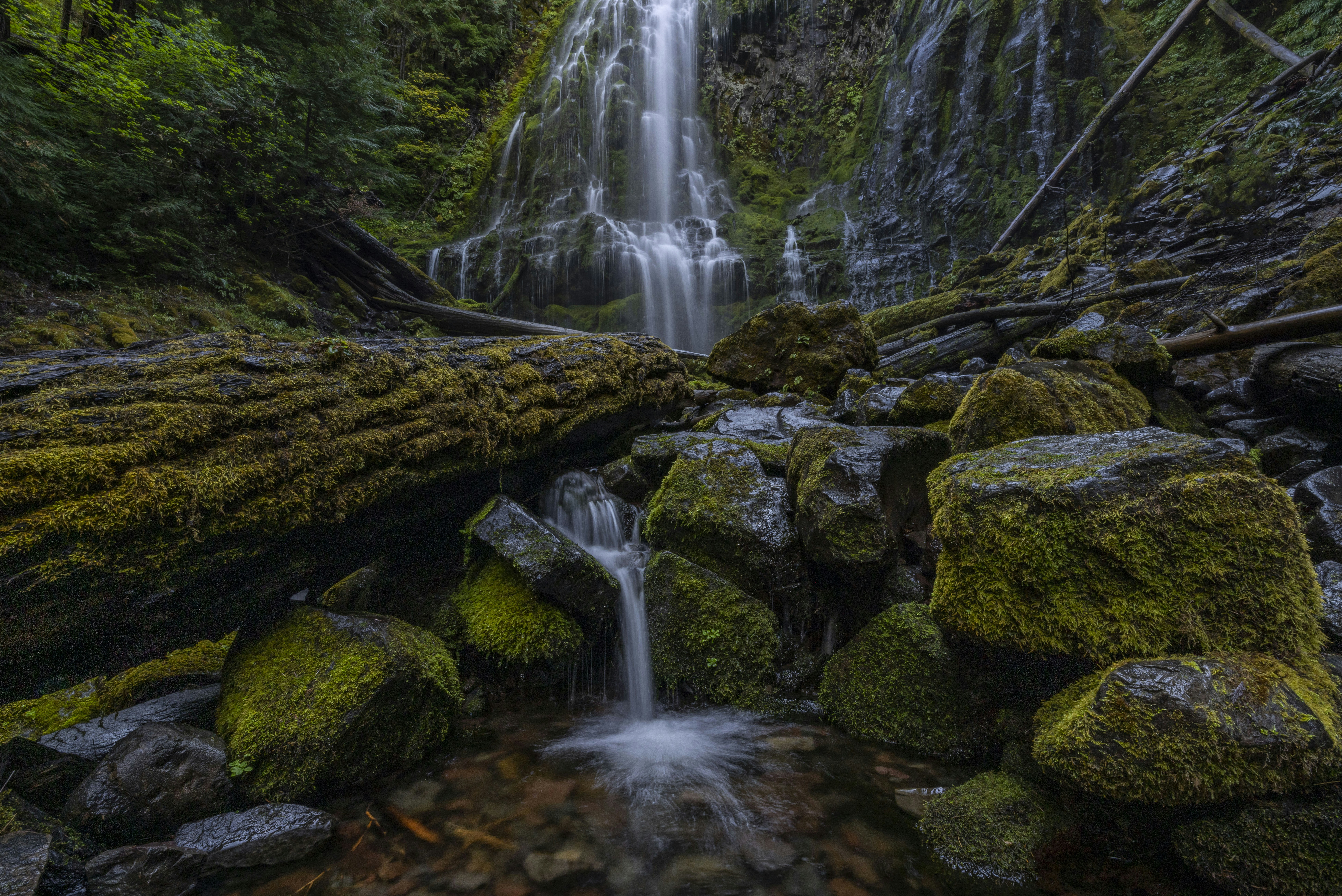 Photo by leo_visions_