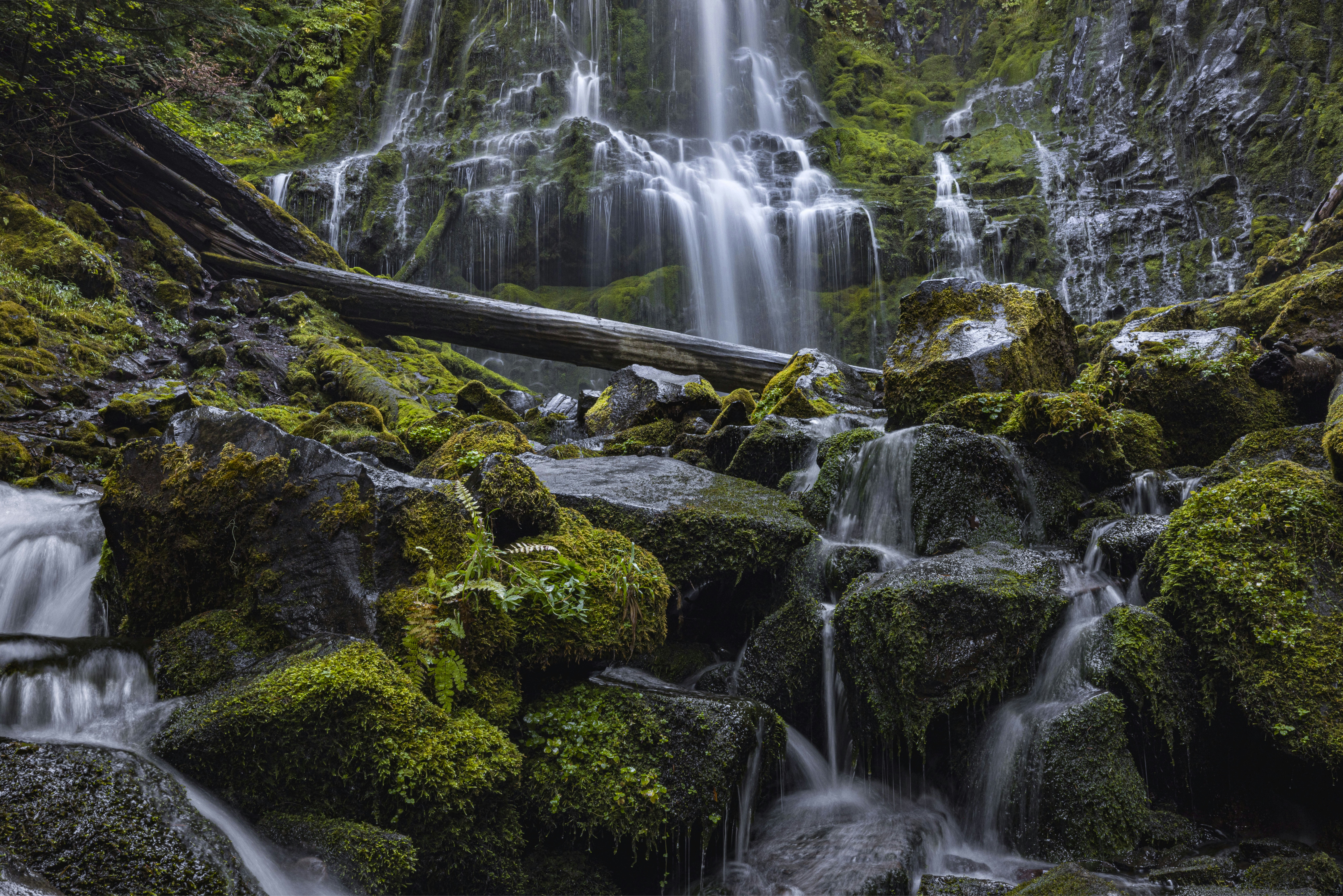 Photo by leo_visions_