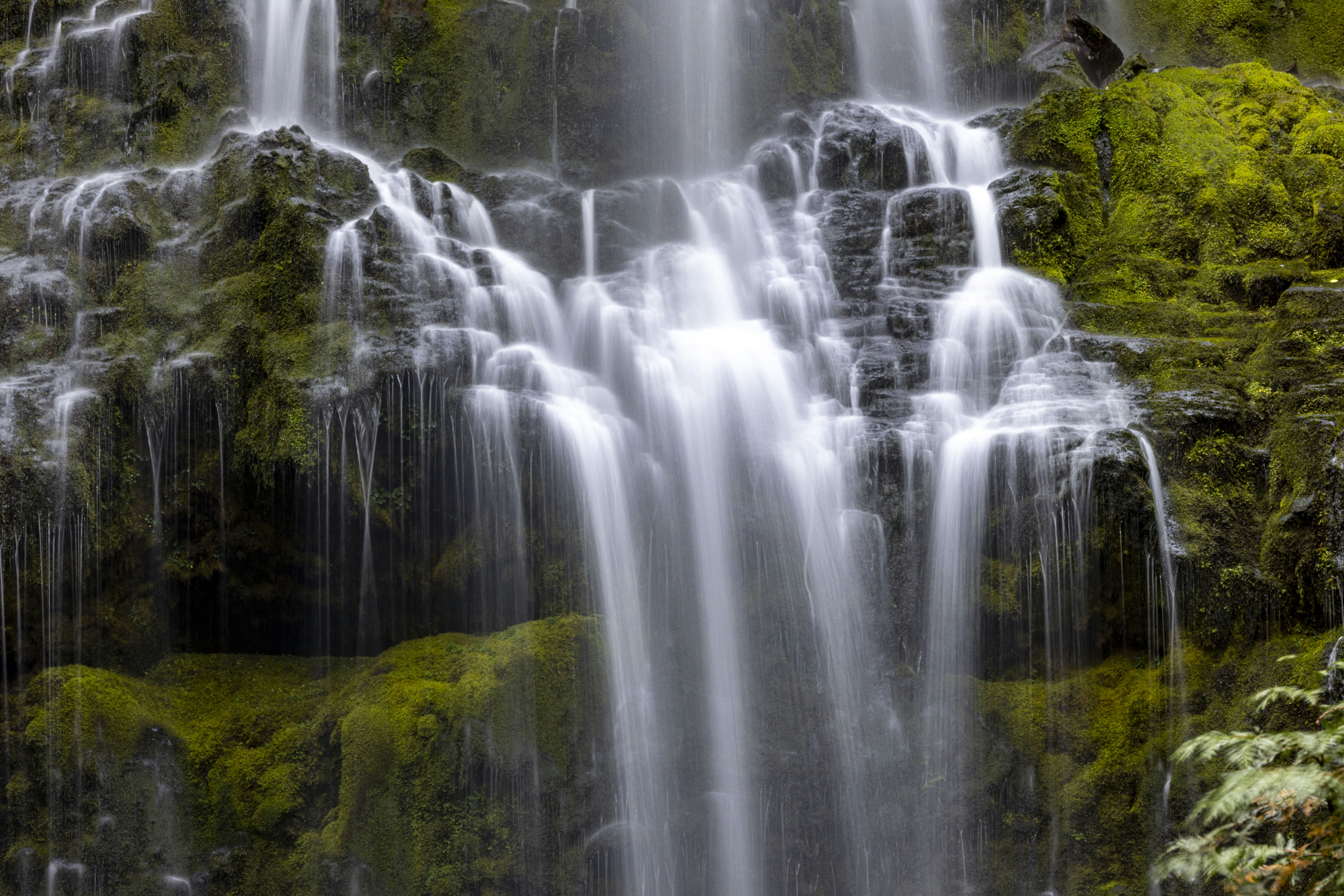 Photo by leo_visions_