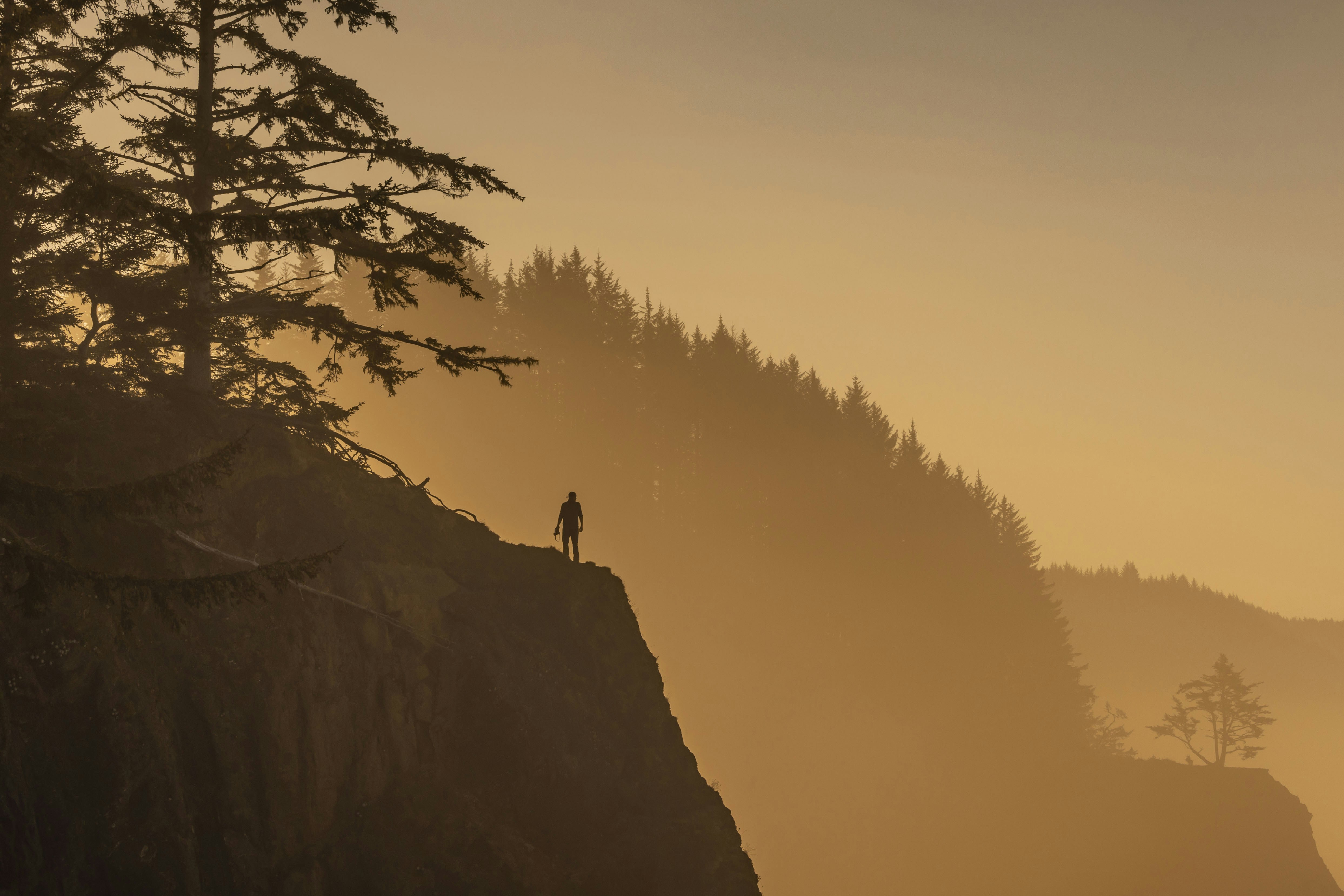 a person standing on top of a cliff