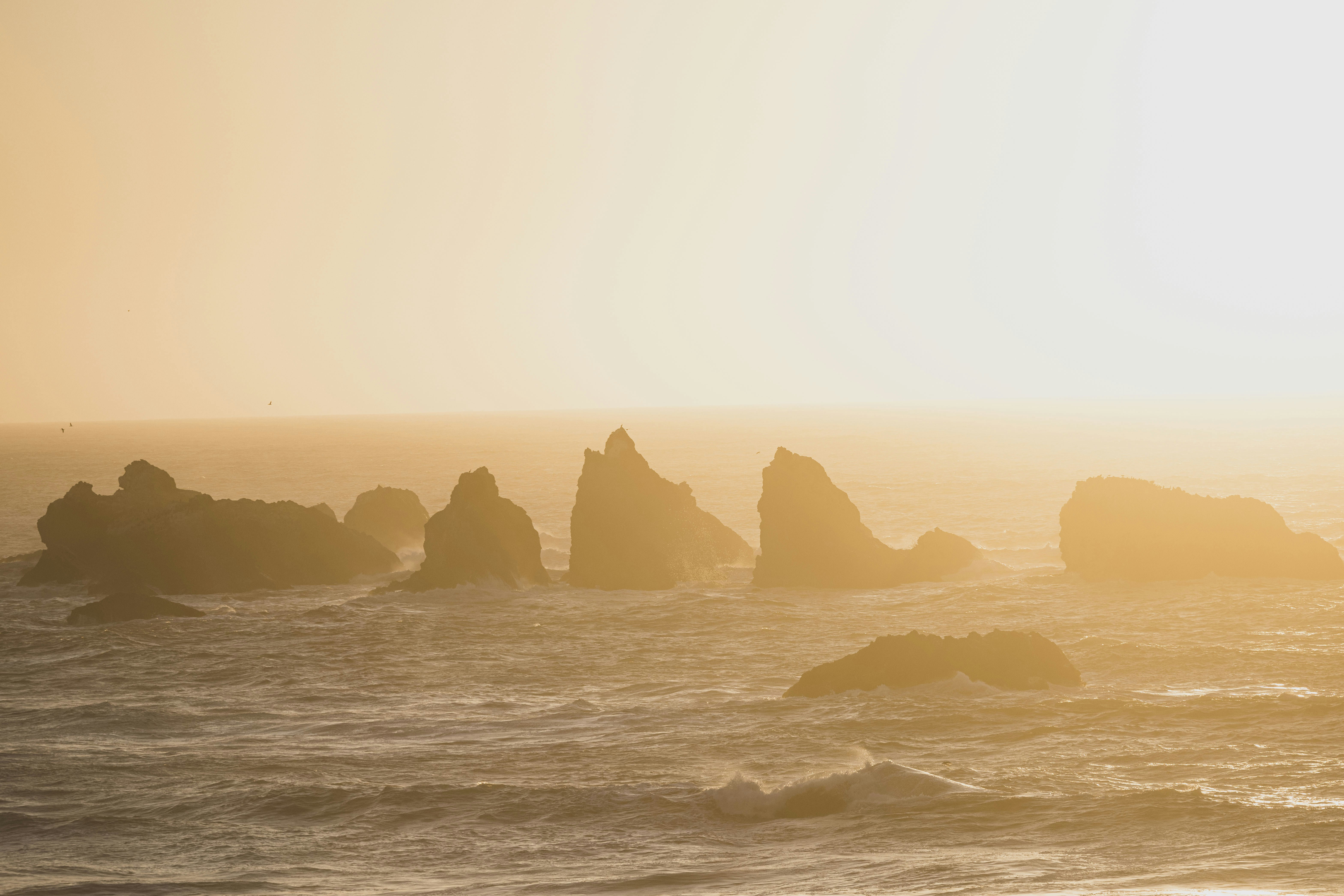 Photo by leo_visions_