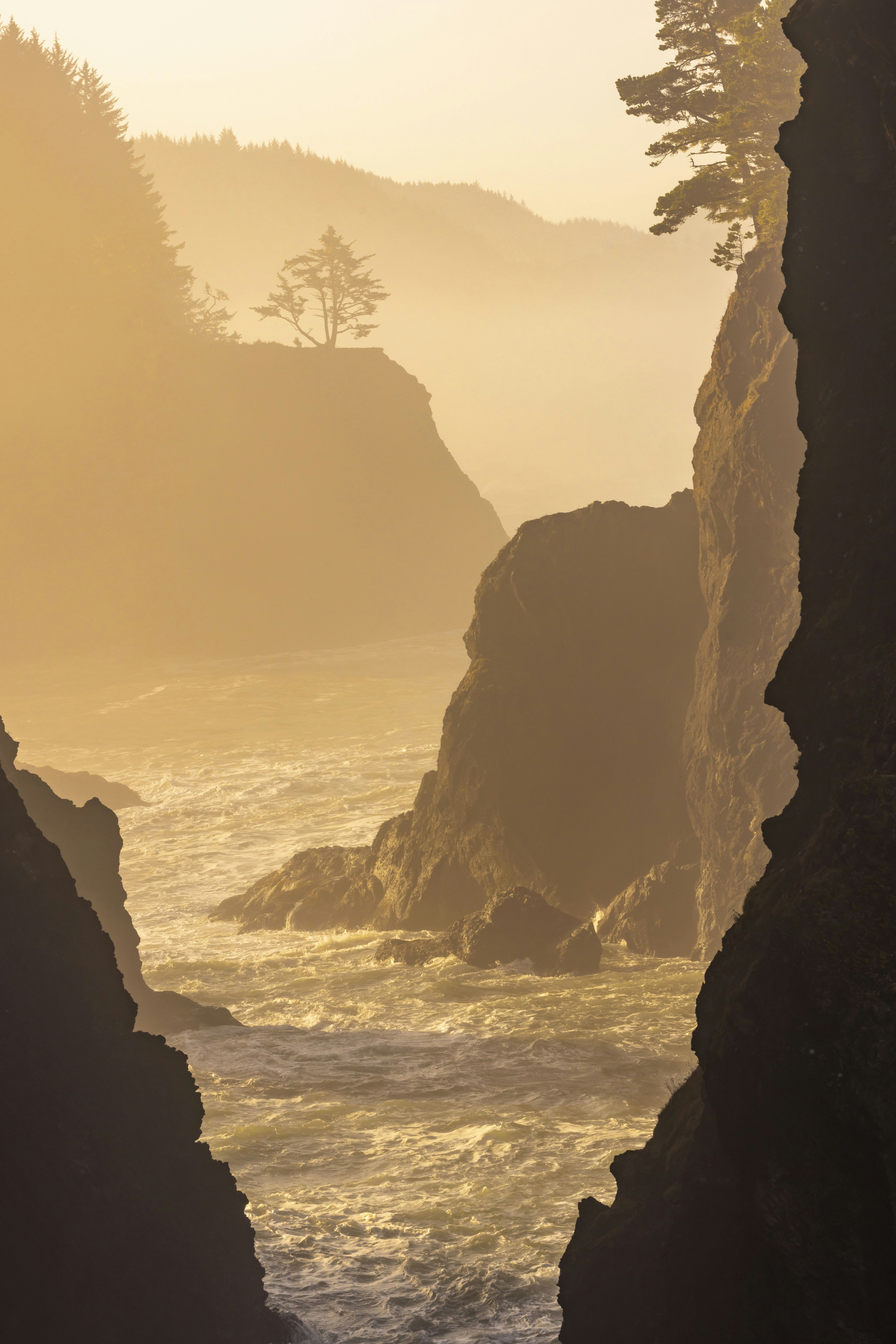 Photo by leo_visions_