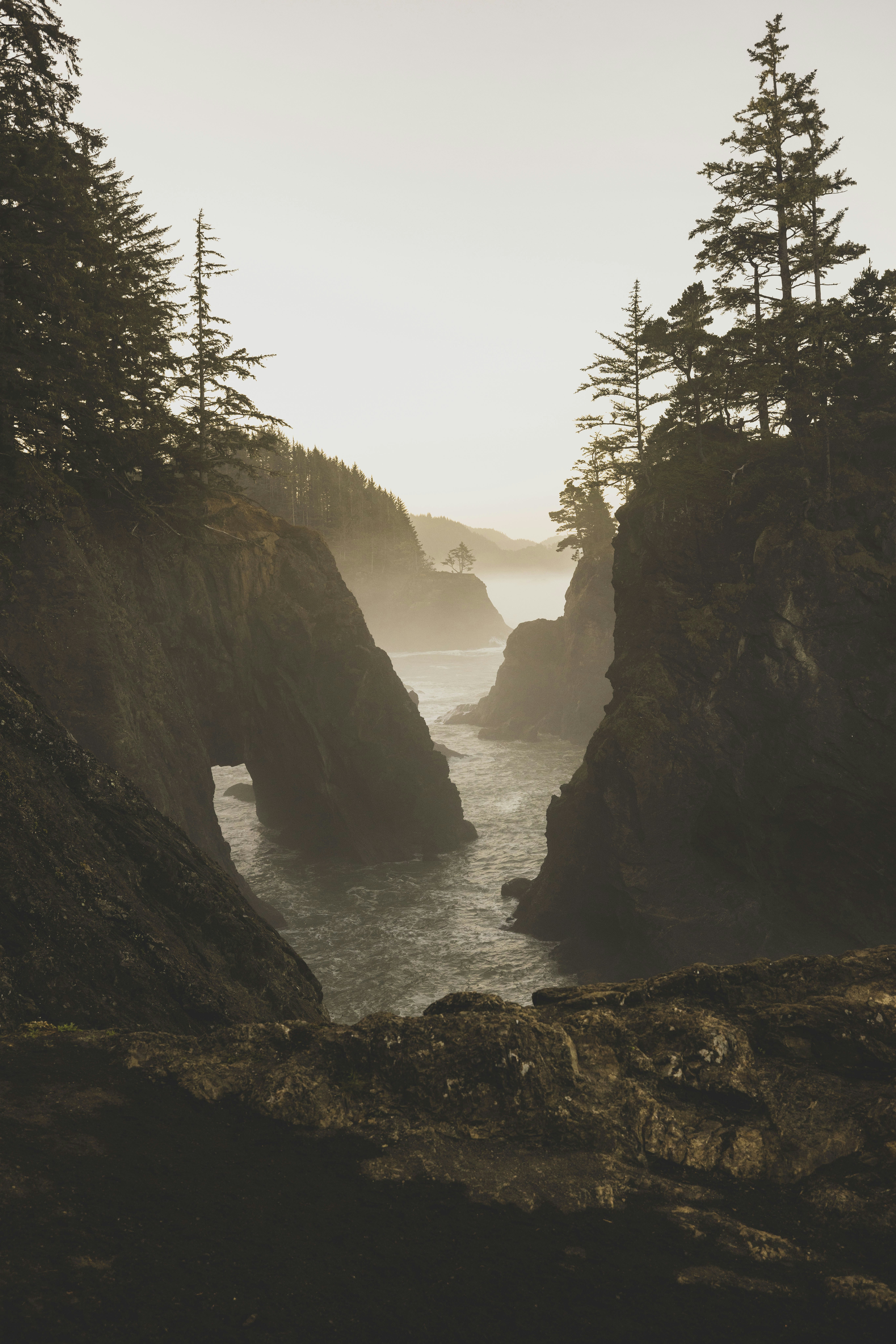 Photo by leo_visions_