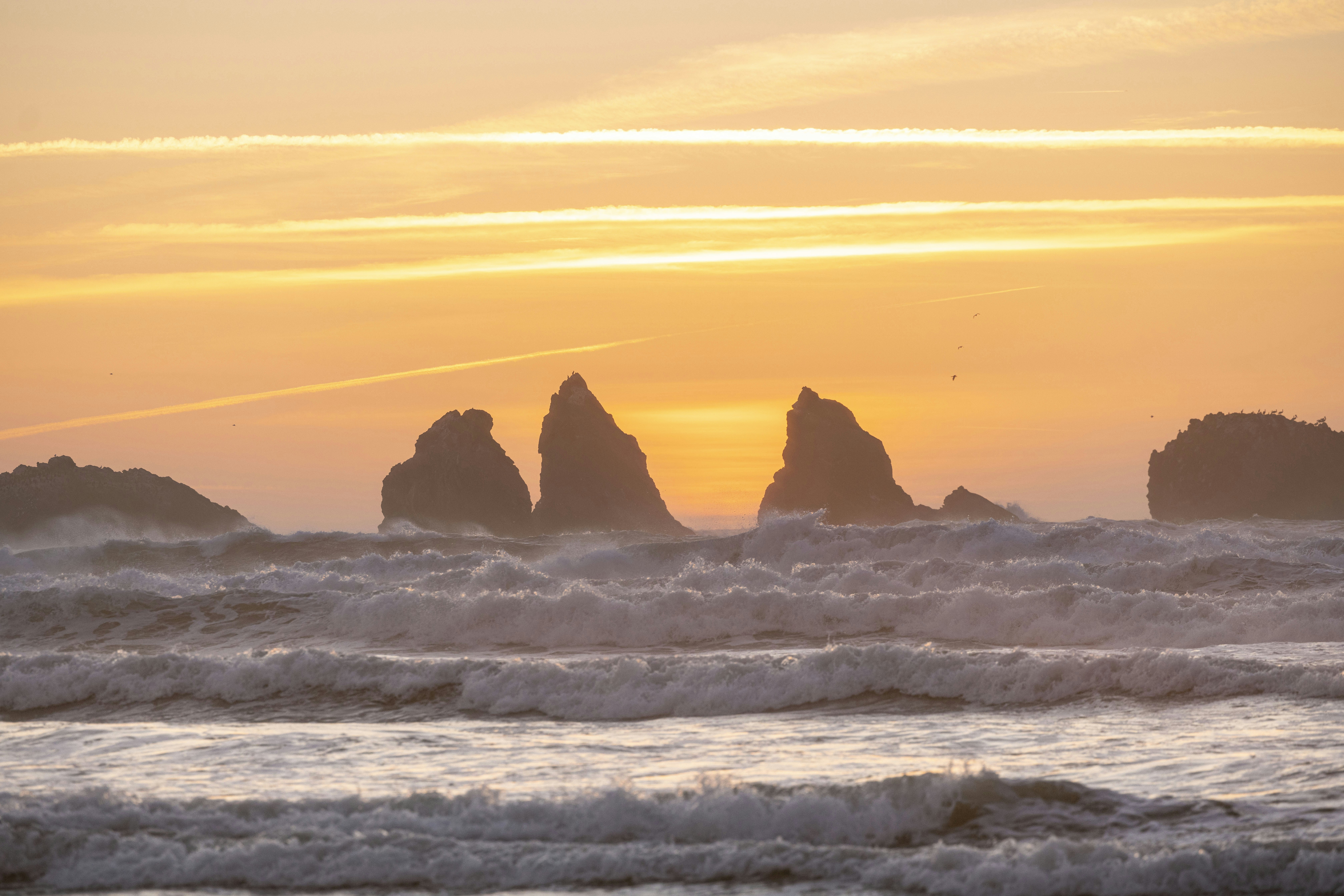 Photo by leo_visions_