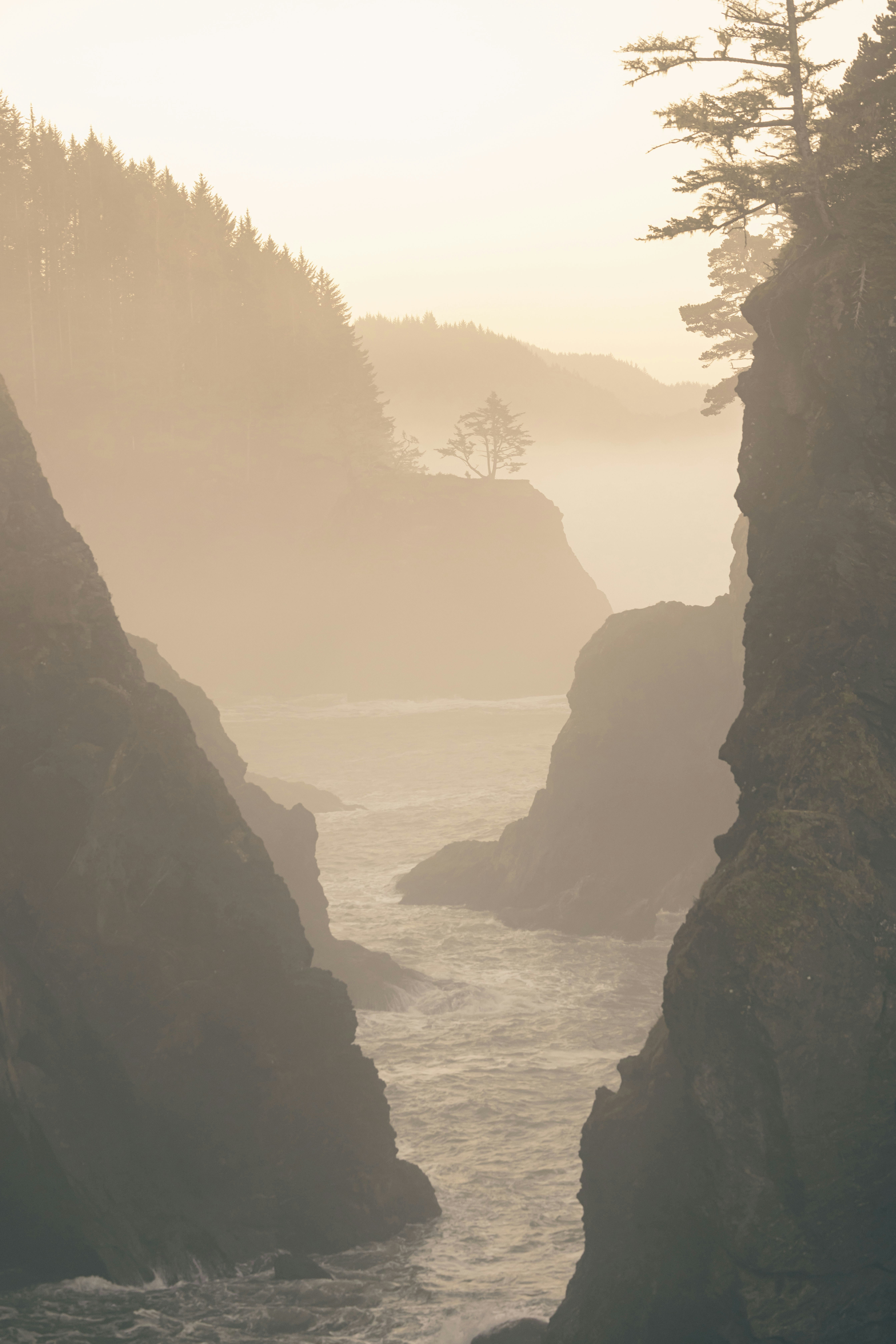 Photo by leo_visions_