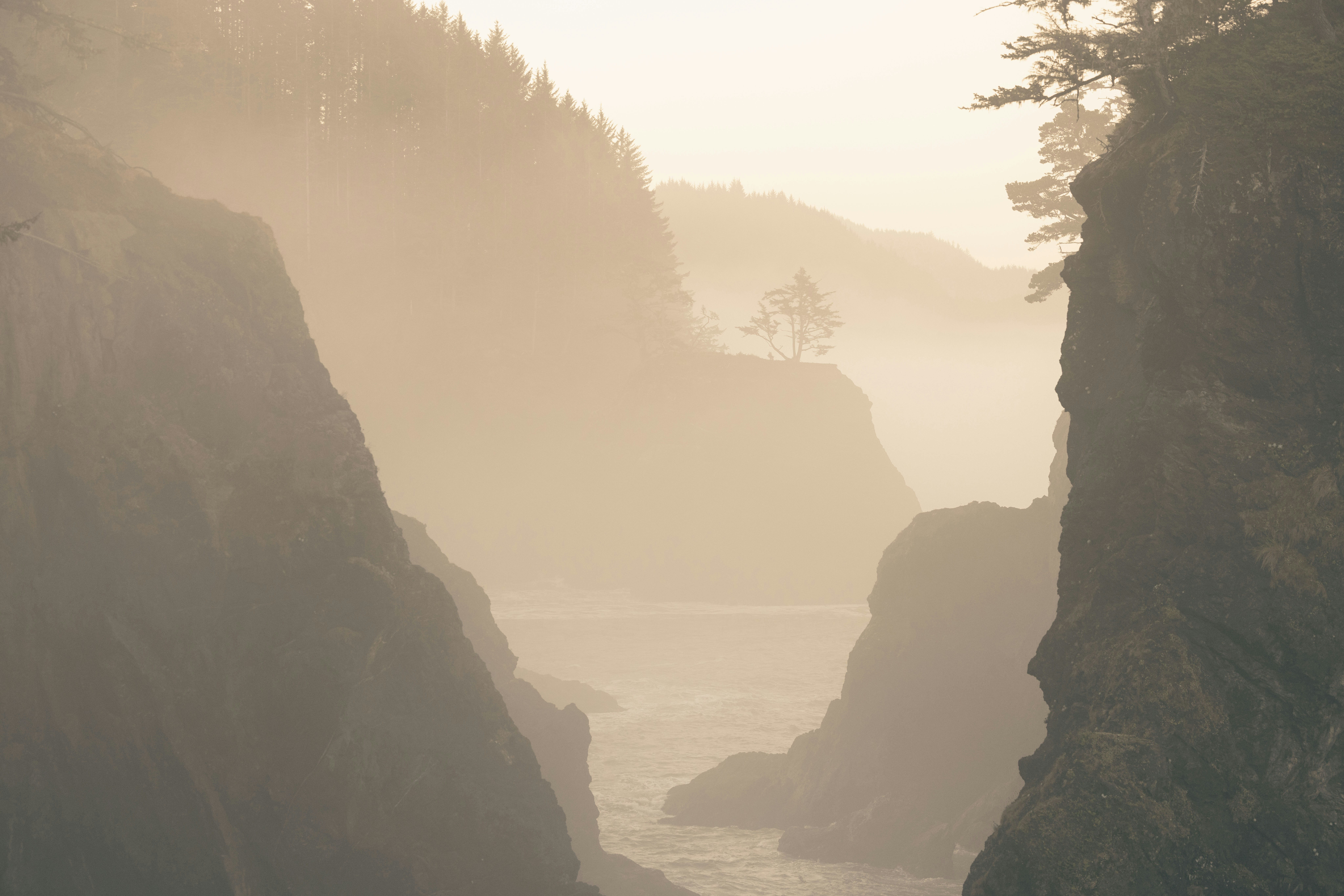 Photo by leo_visions_