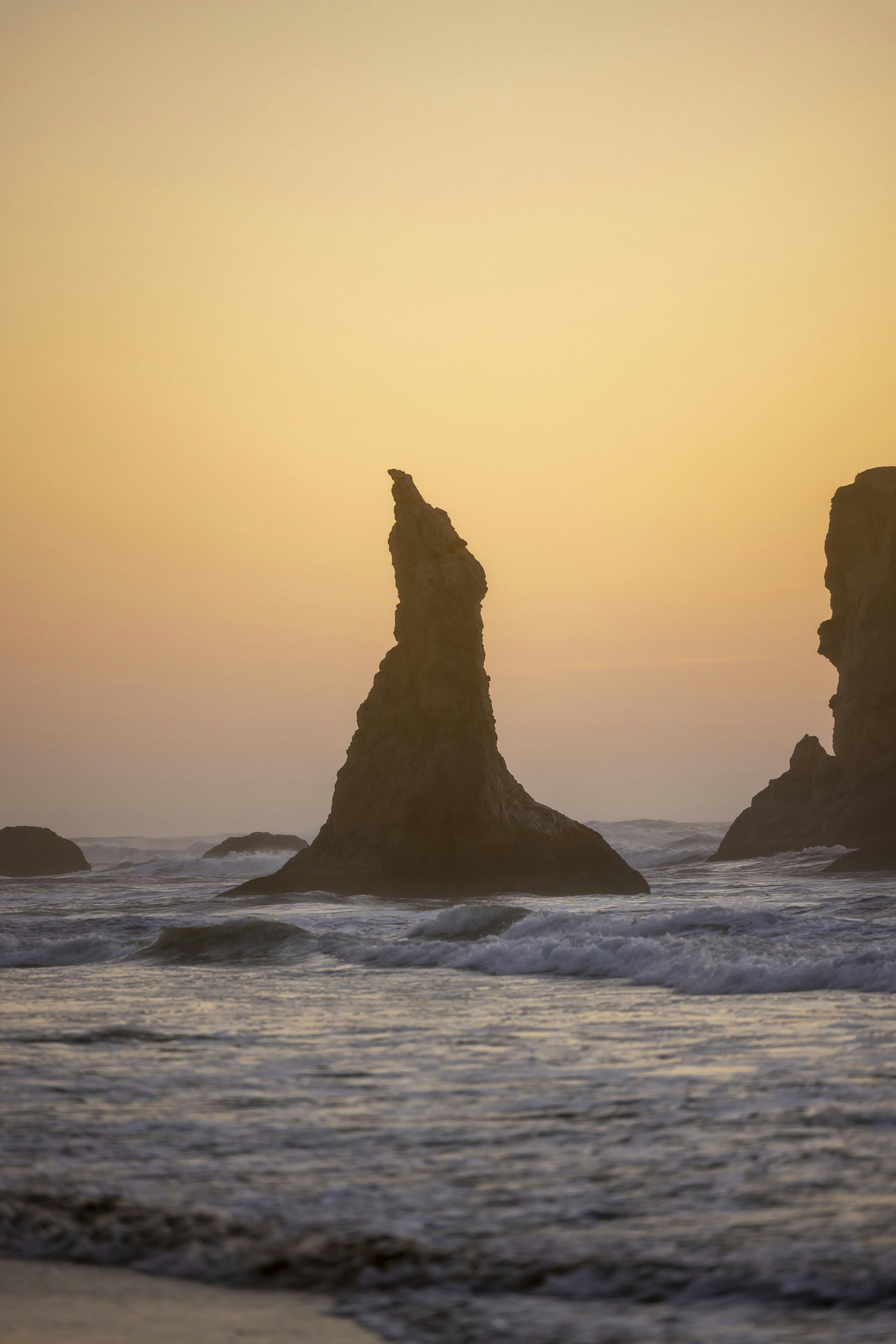 Photo by leo_visions_