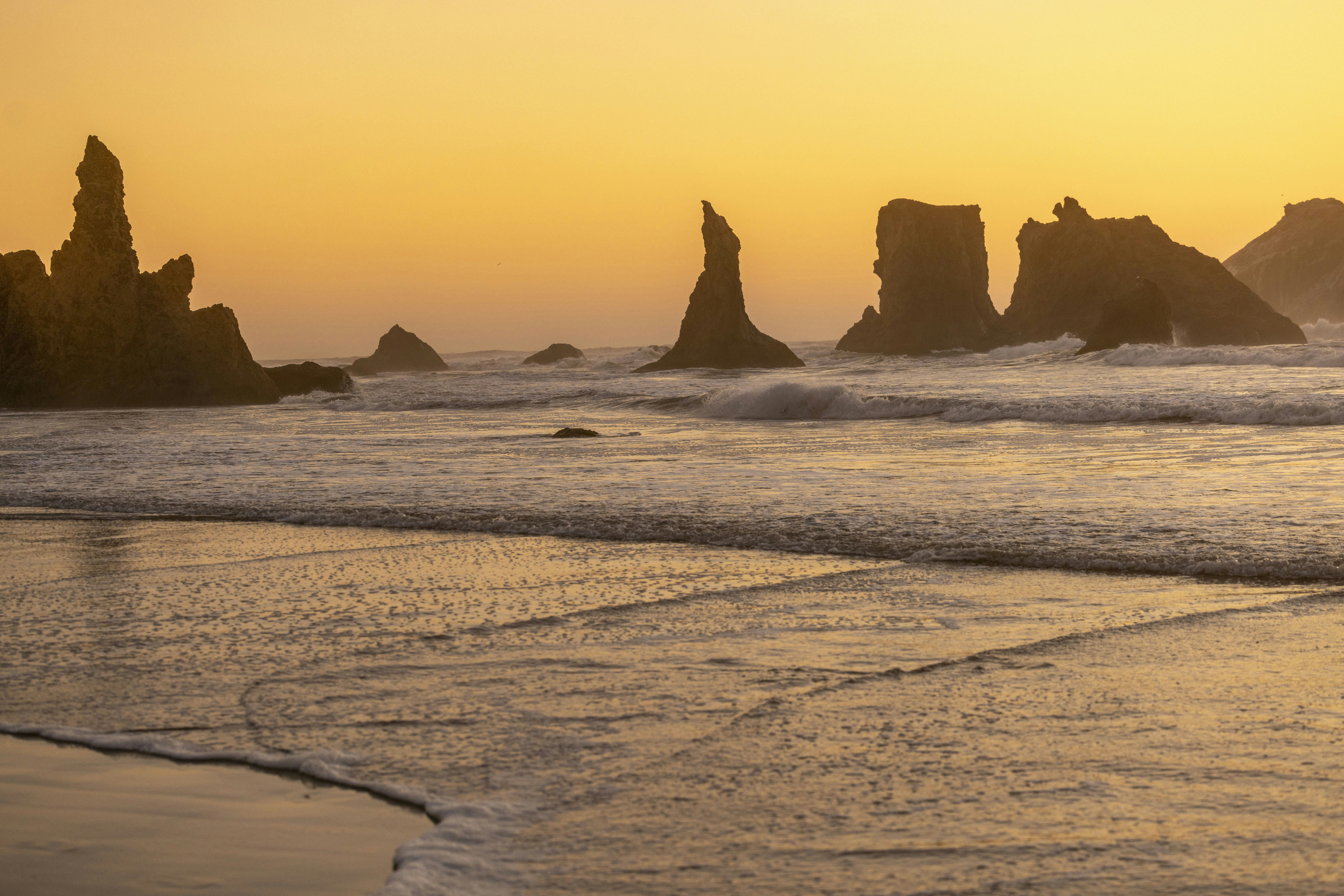 Photo by leo_visions_