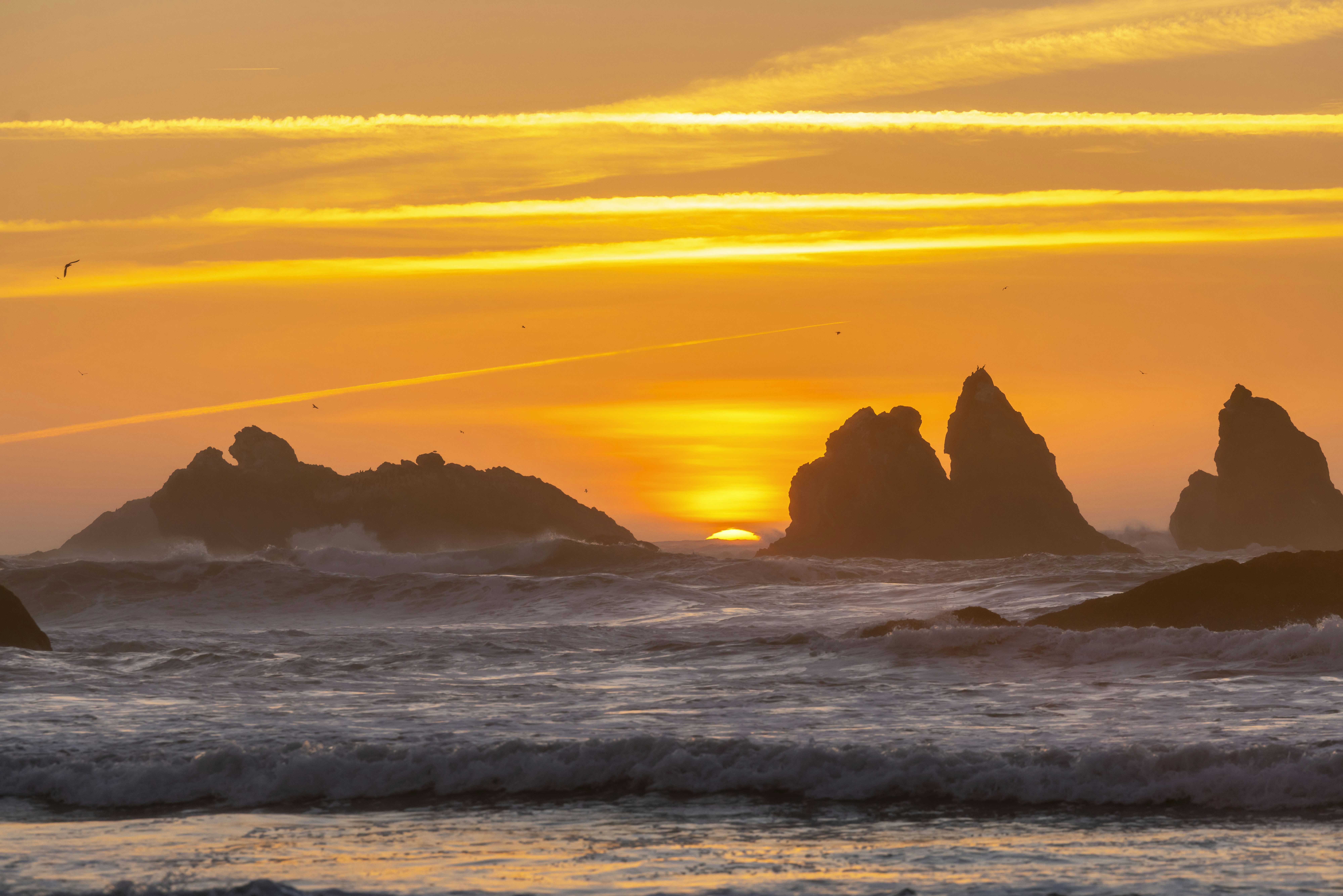 Photo by leo_visions_