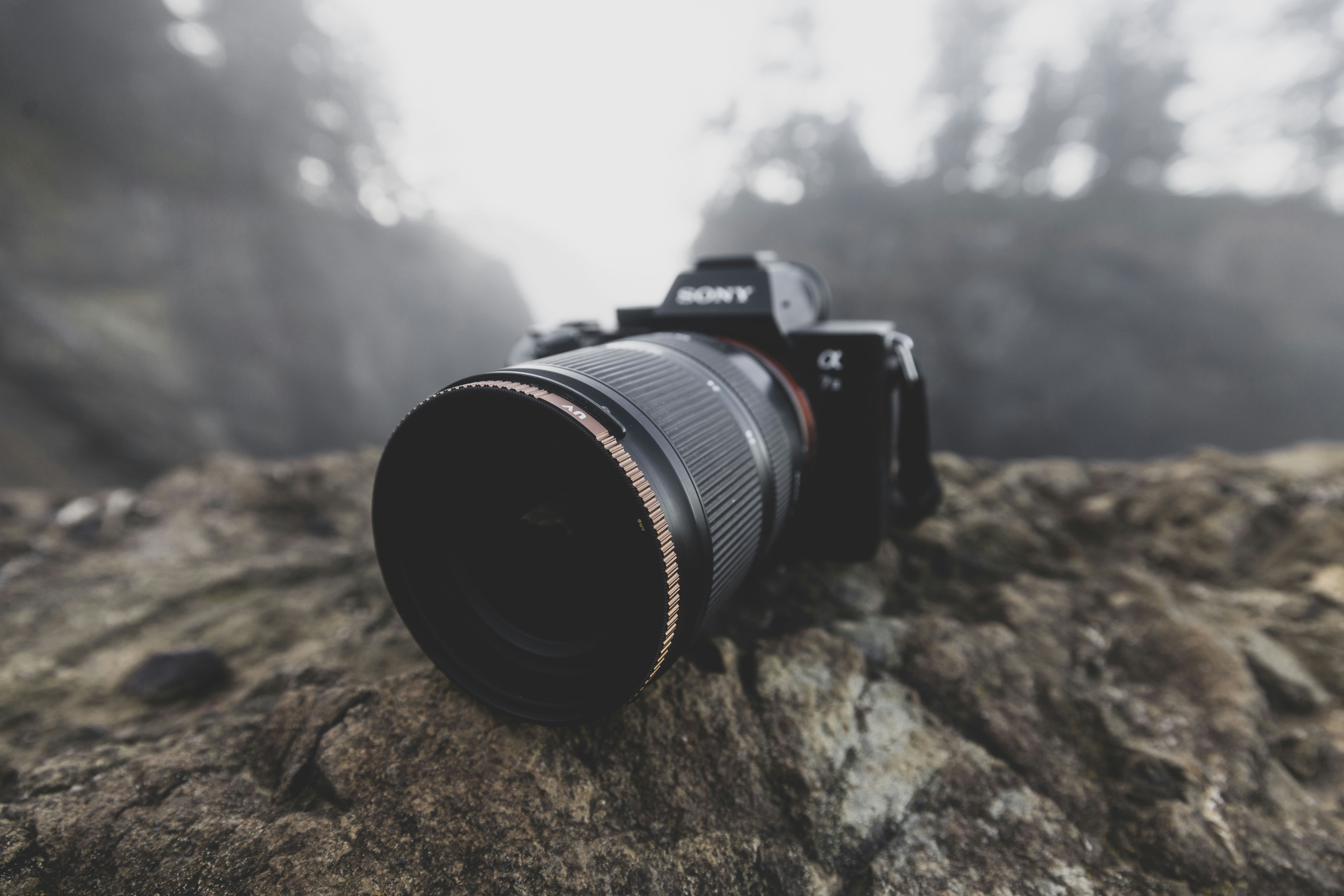 Photo by leo_visions_