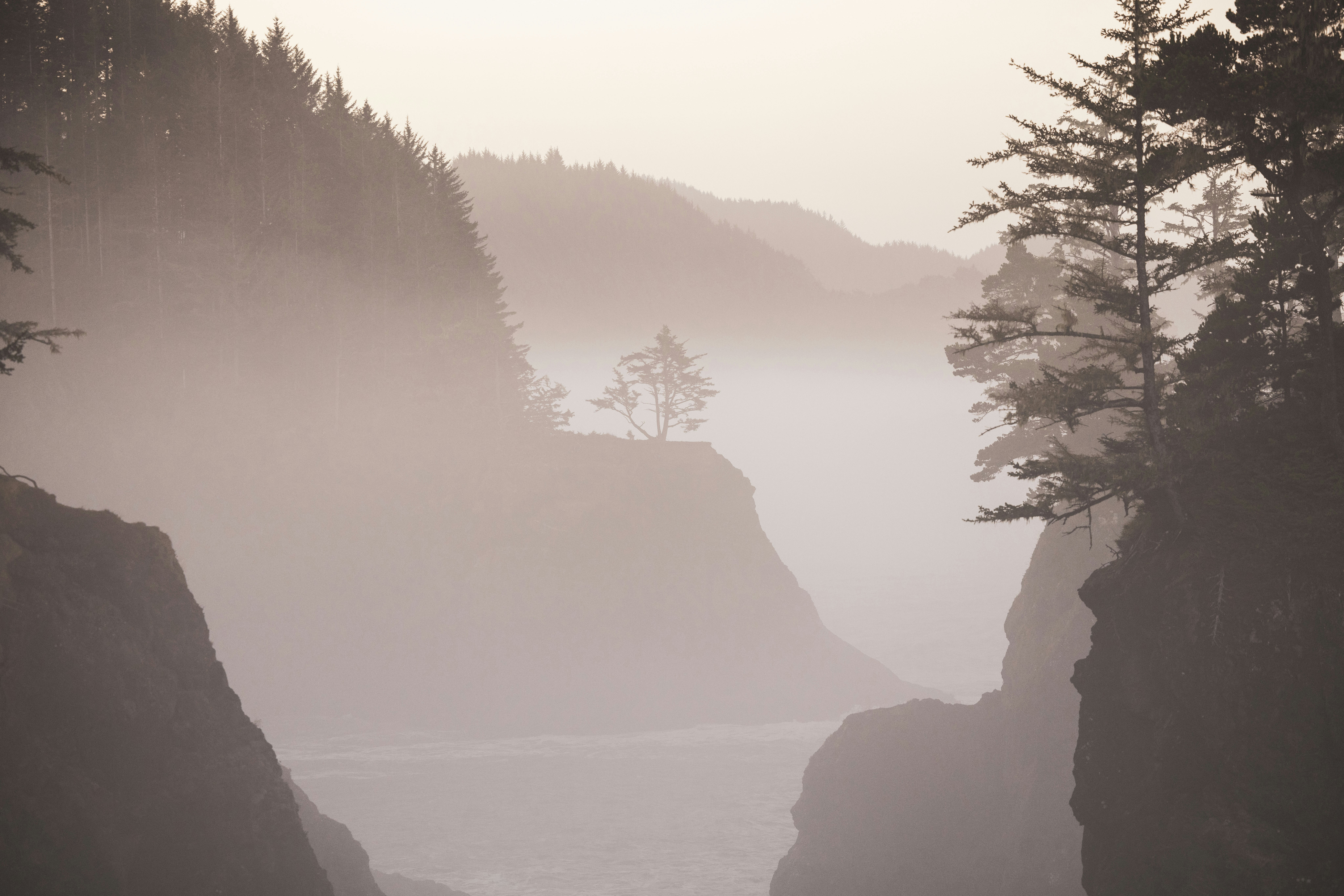 Photo by leo_visions_