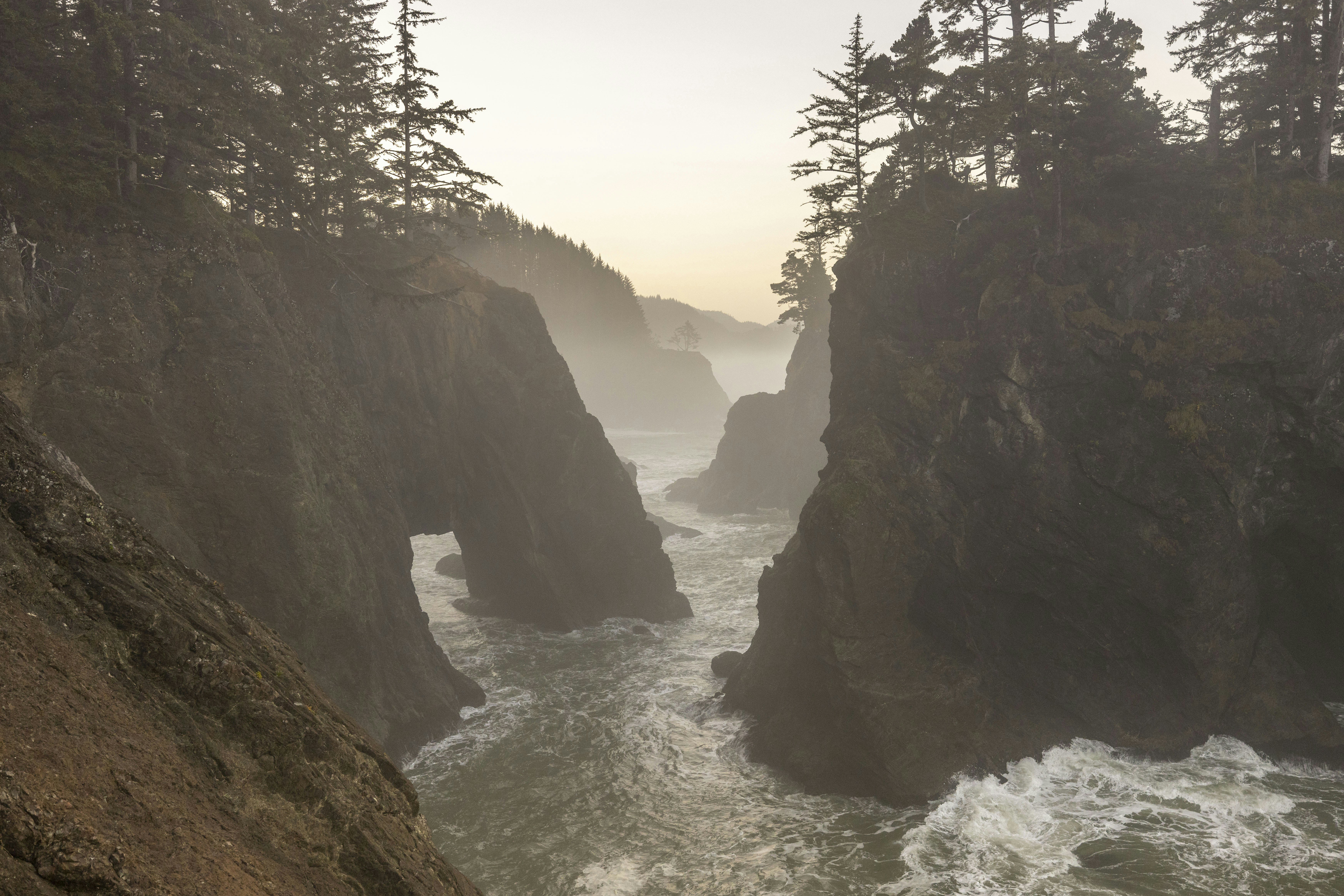 Photo by leo_visions_