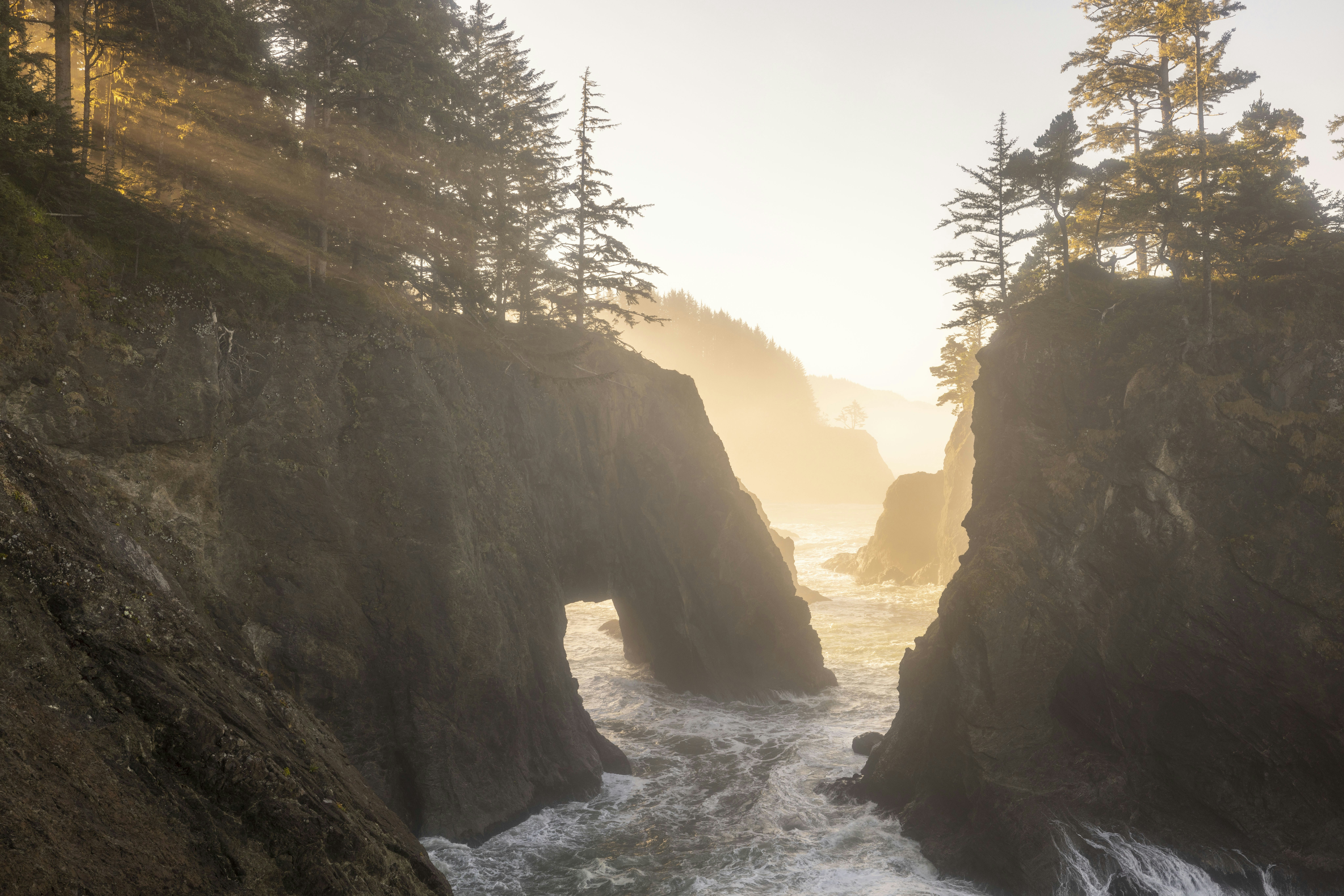 Photo by leo_visions_