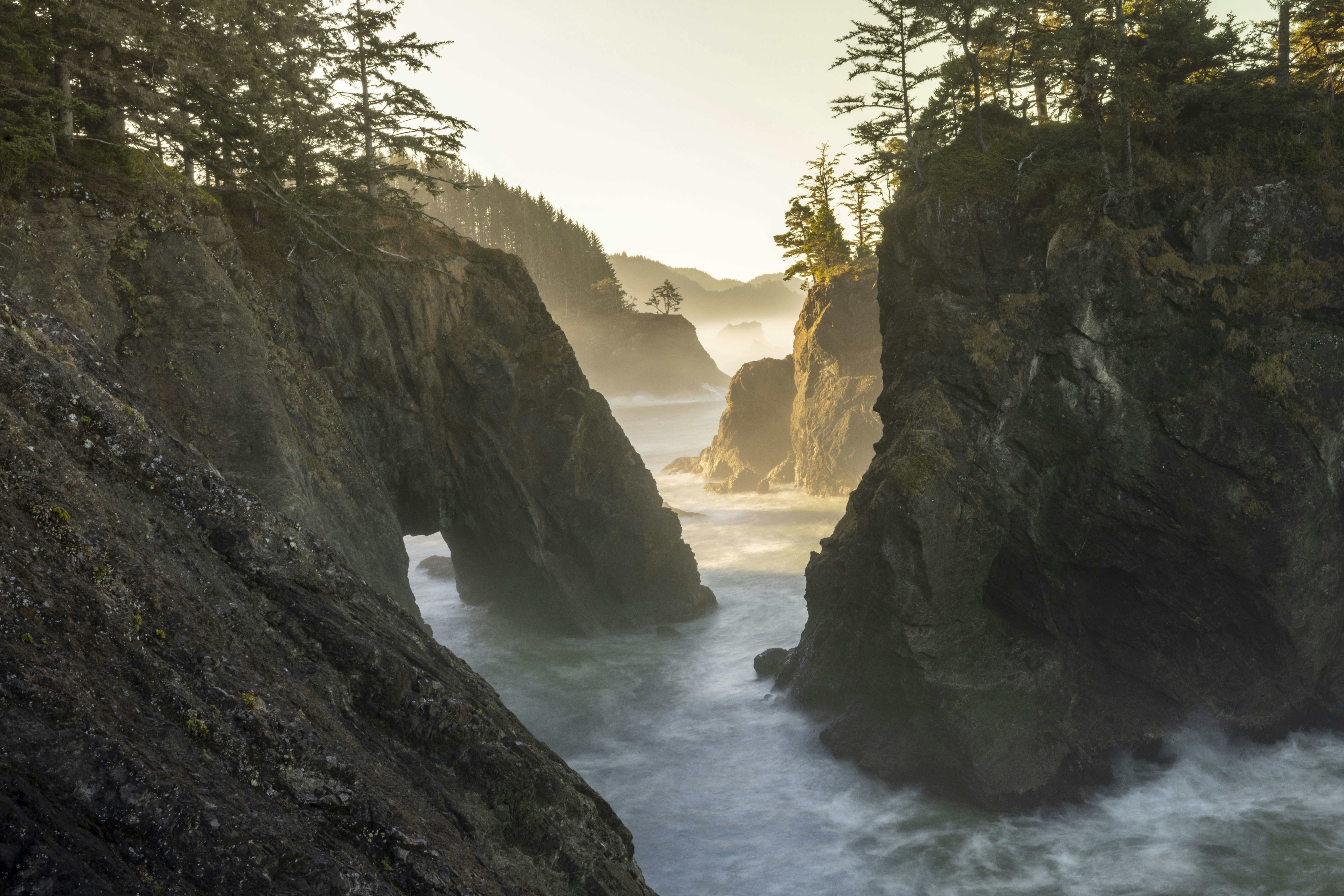 Photo by leo_visions_