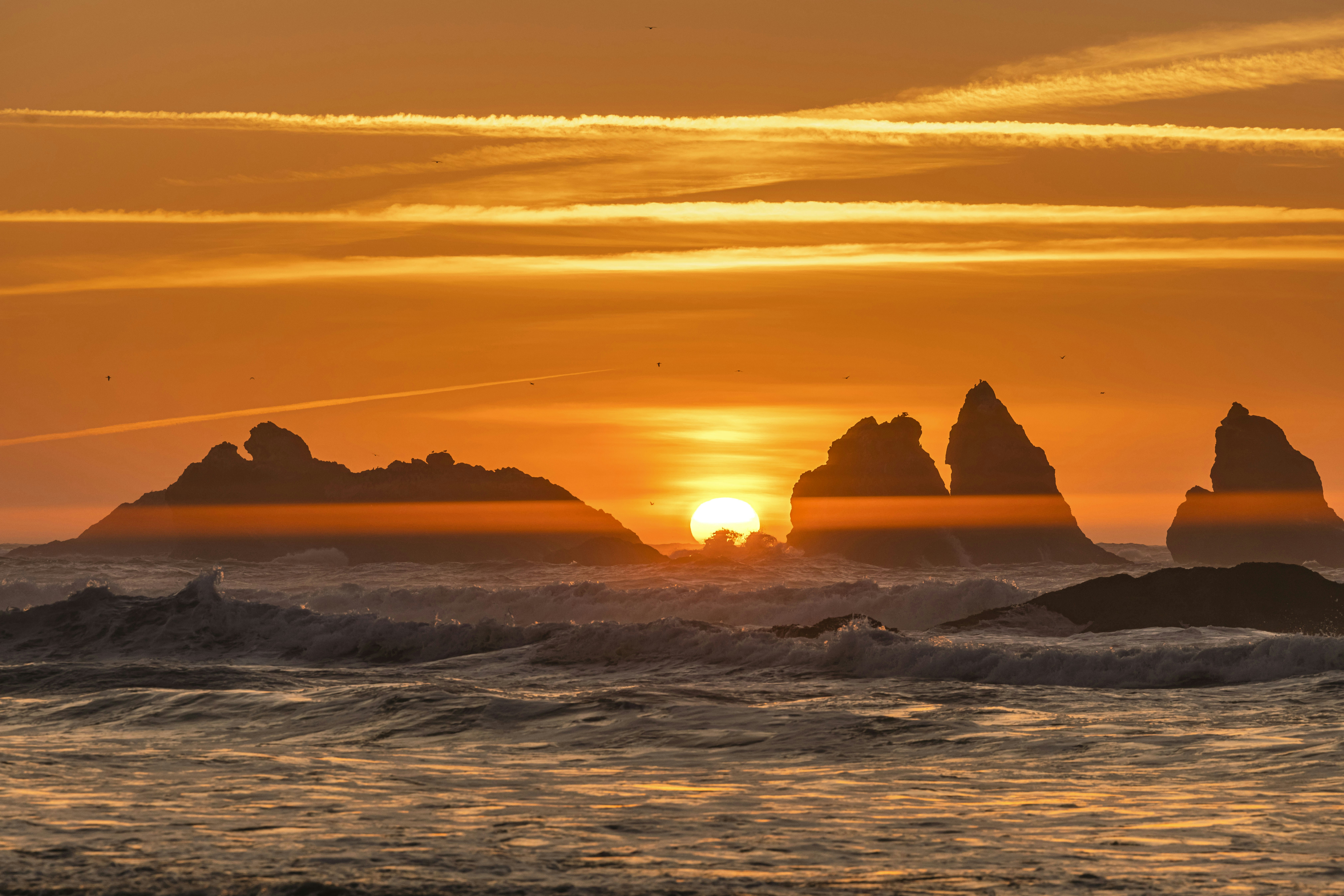 Photo by leo_visions_