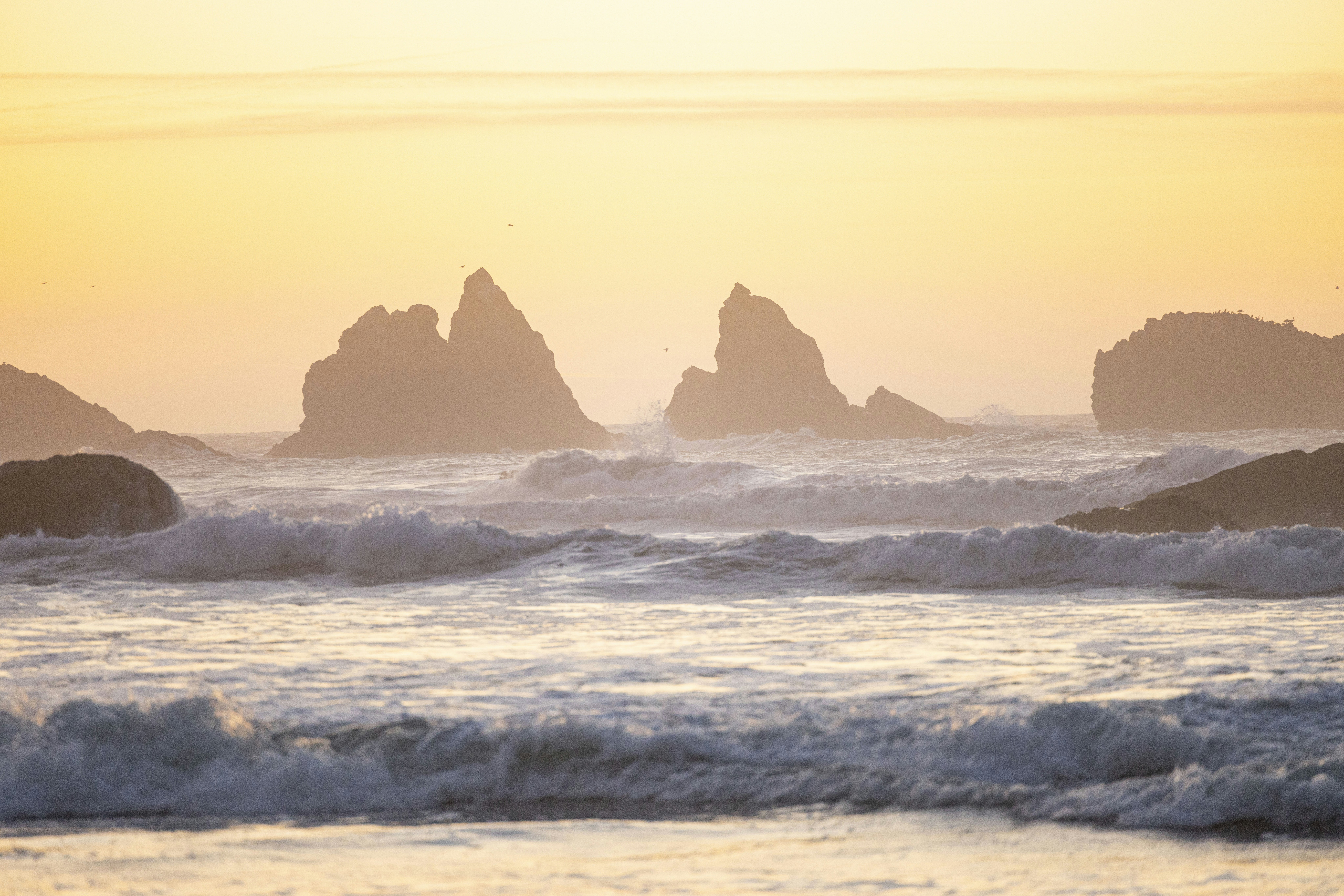 Photo by leo_visions_