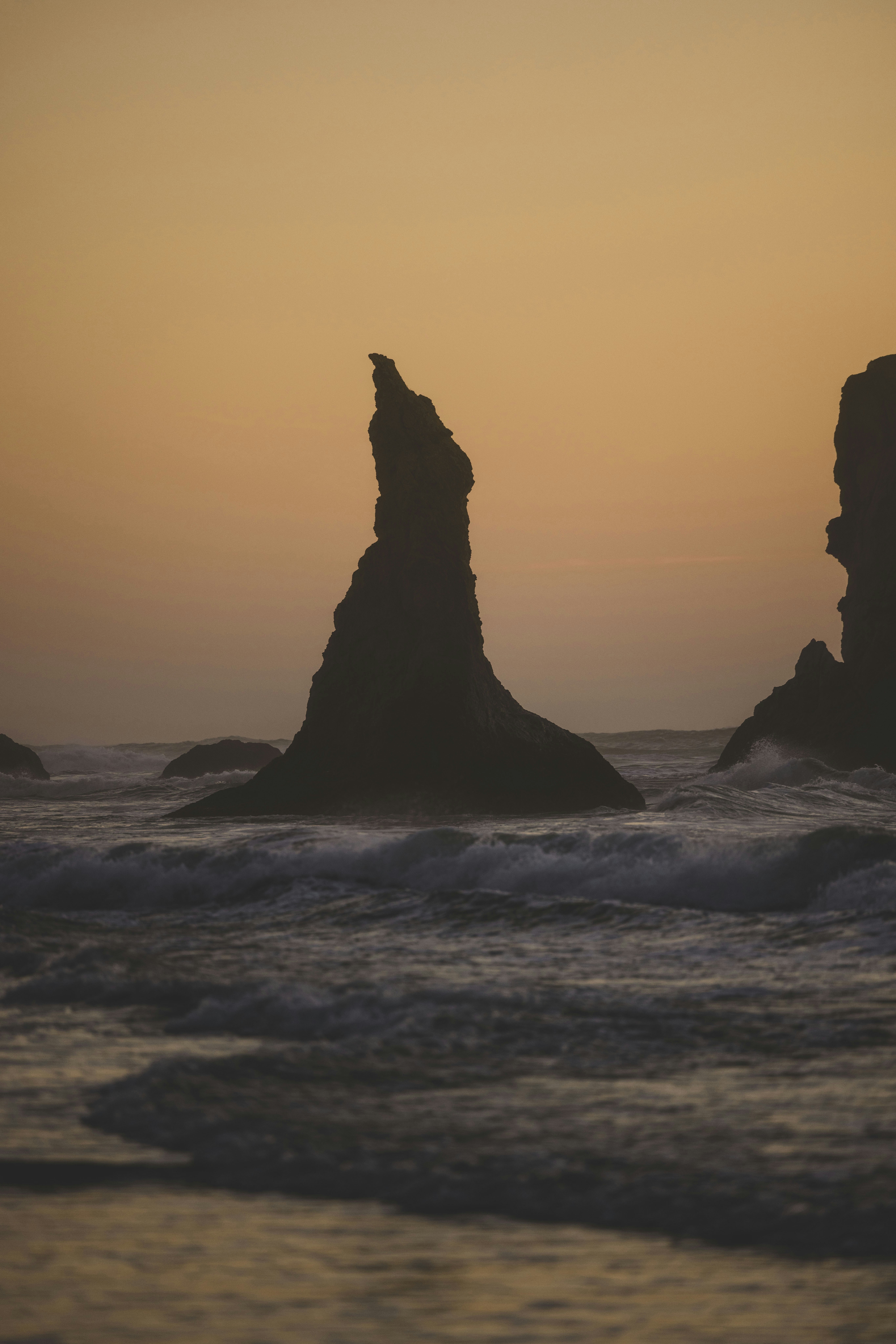 Photo by leo_visions_